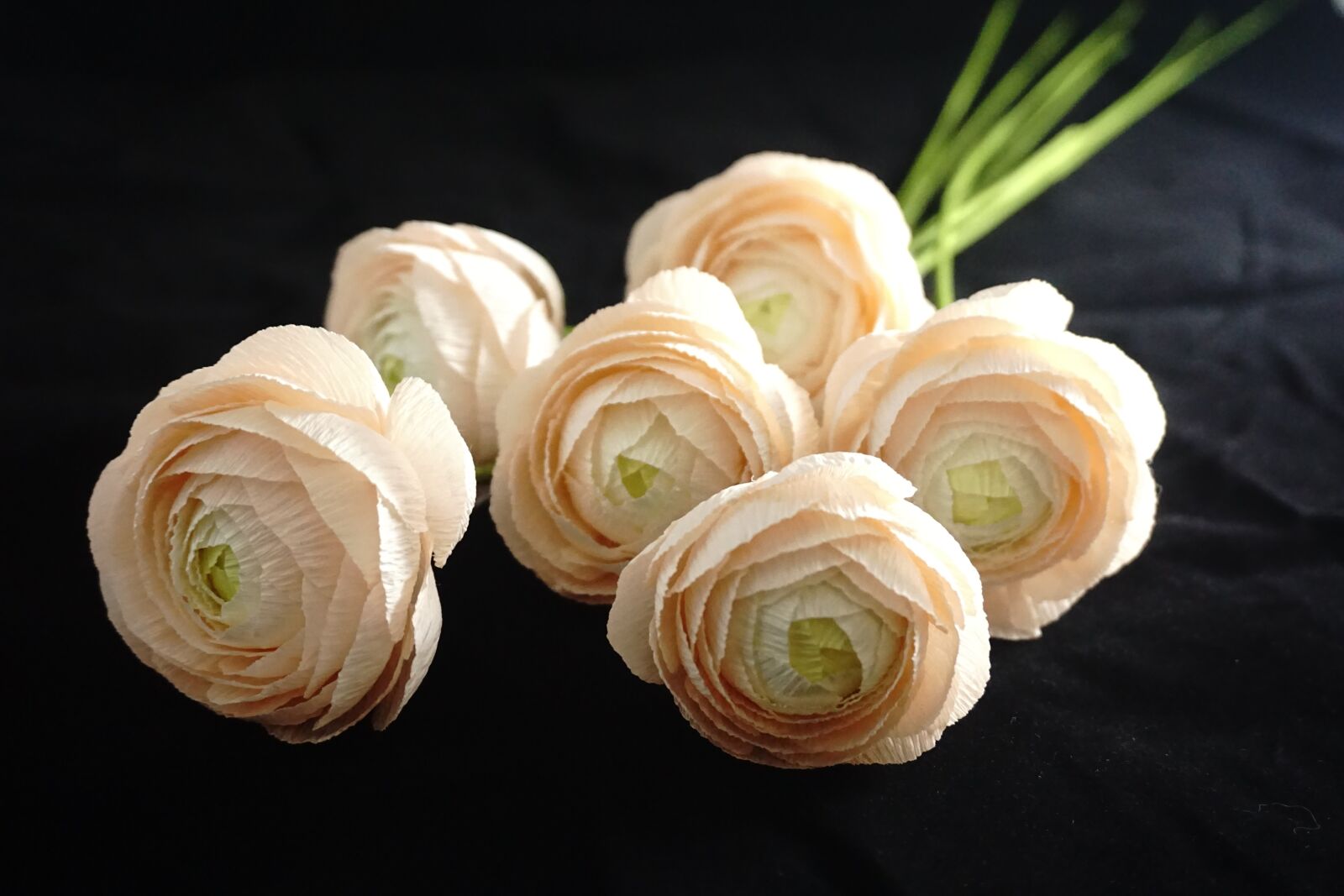 Sony E 16-50mm F3.5-5.6 PZ OSS sample photo. Paper flowers, crepe paper photography