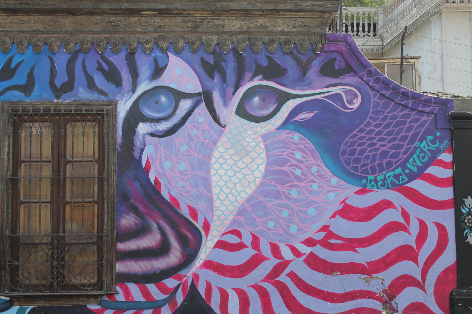 Canon EOS 1100D (EOS Rebel T3 / EOS Kiss X50) sample photo. Lima, lion, peru, pink photography