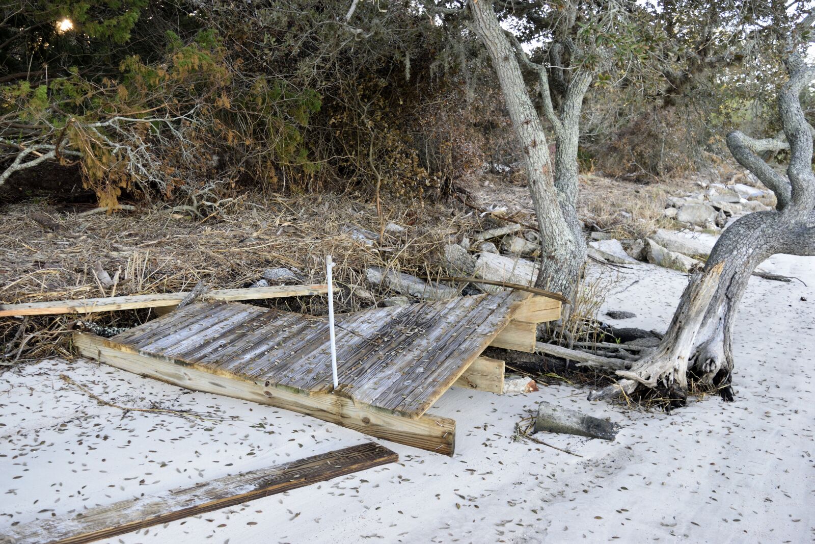 Nikon D3300 sample photo. Hurricane matthew, damage, dock photography