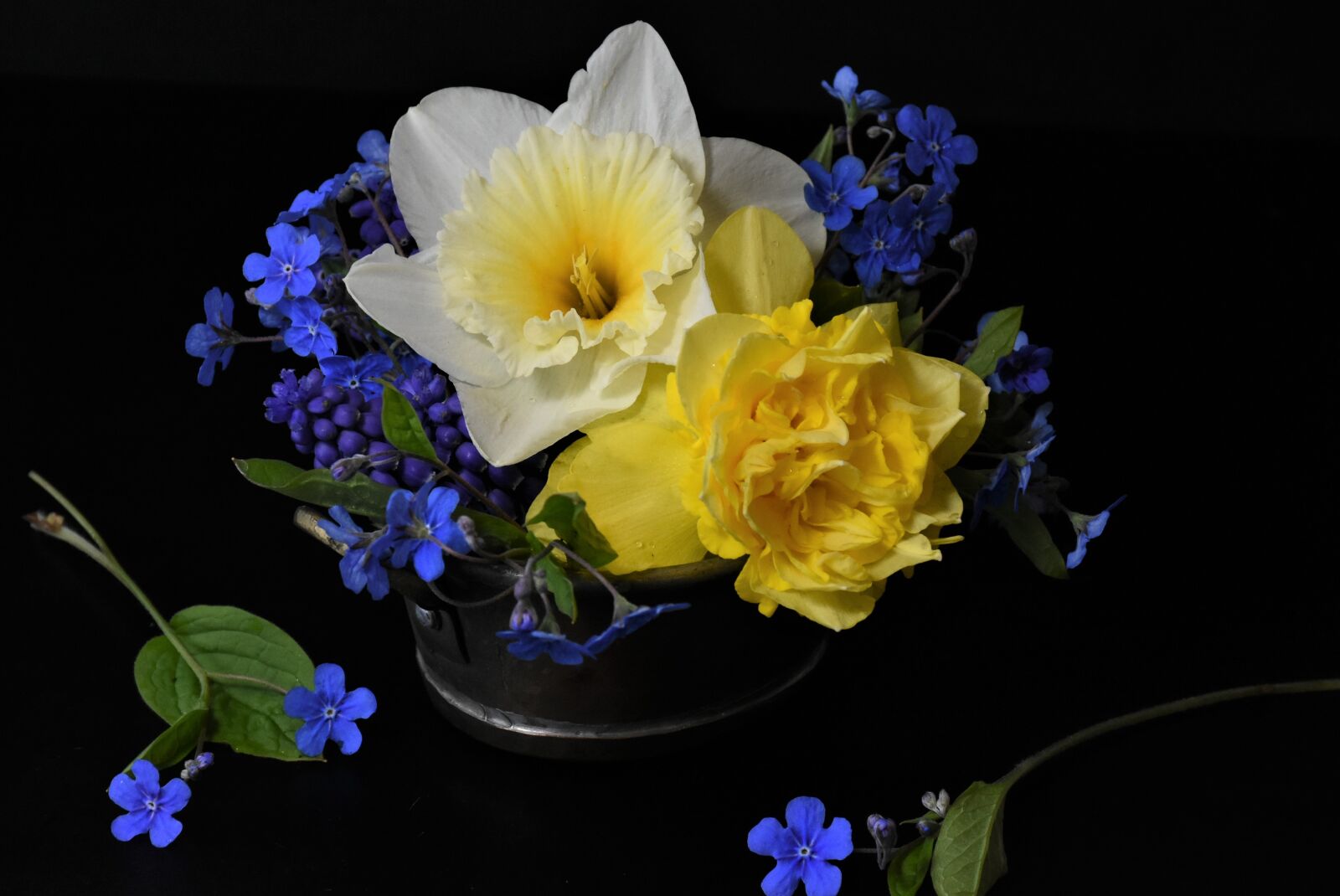 Nikon D7200 sample photo. Forget me not, tulips photography