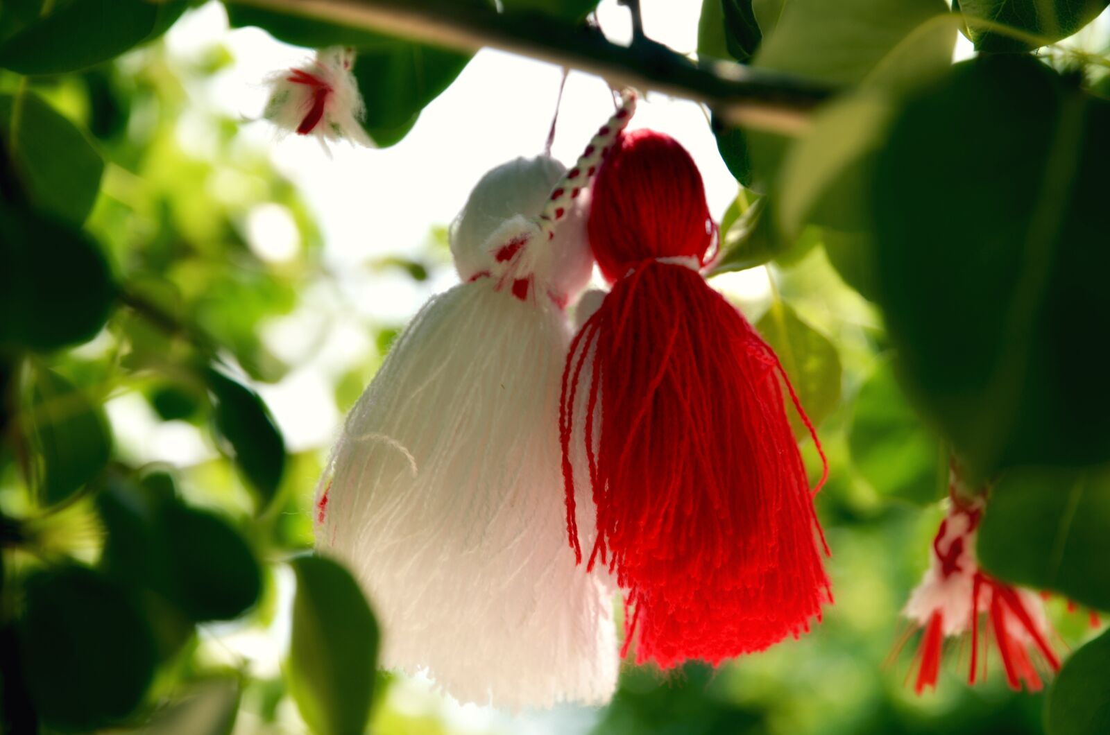Nikon D7000 sample photo. Martenitsa, bulgaria, tradition photography