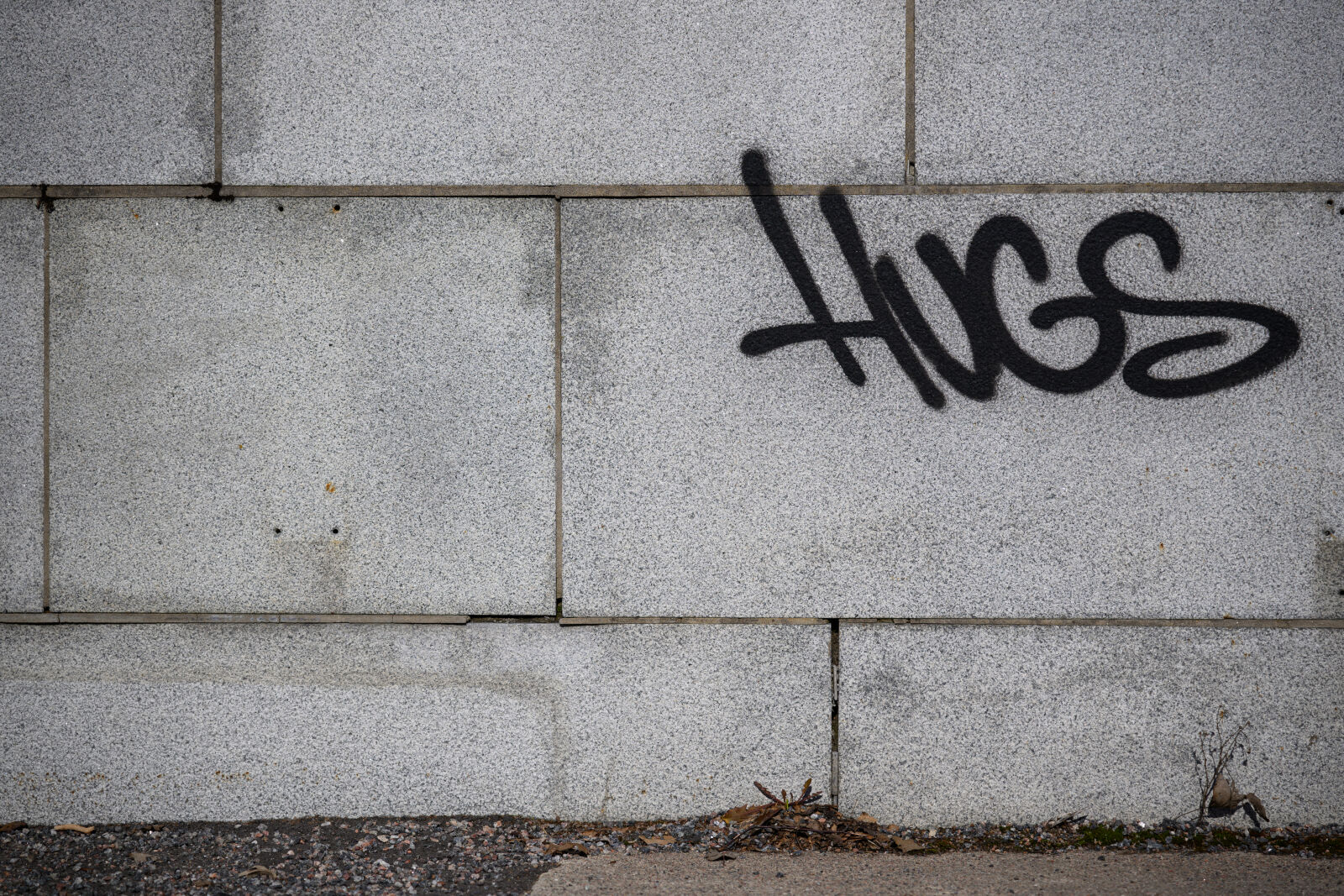 Nikon Z8 sample photo. Hugs graffiti photography