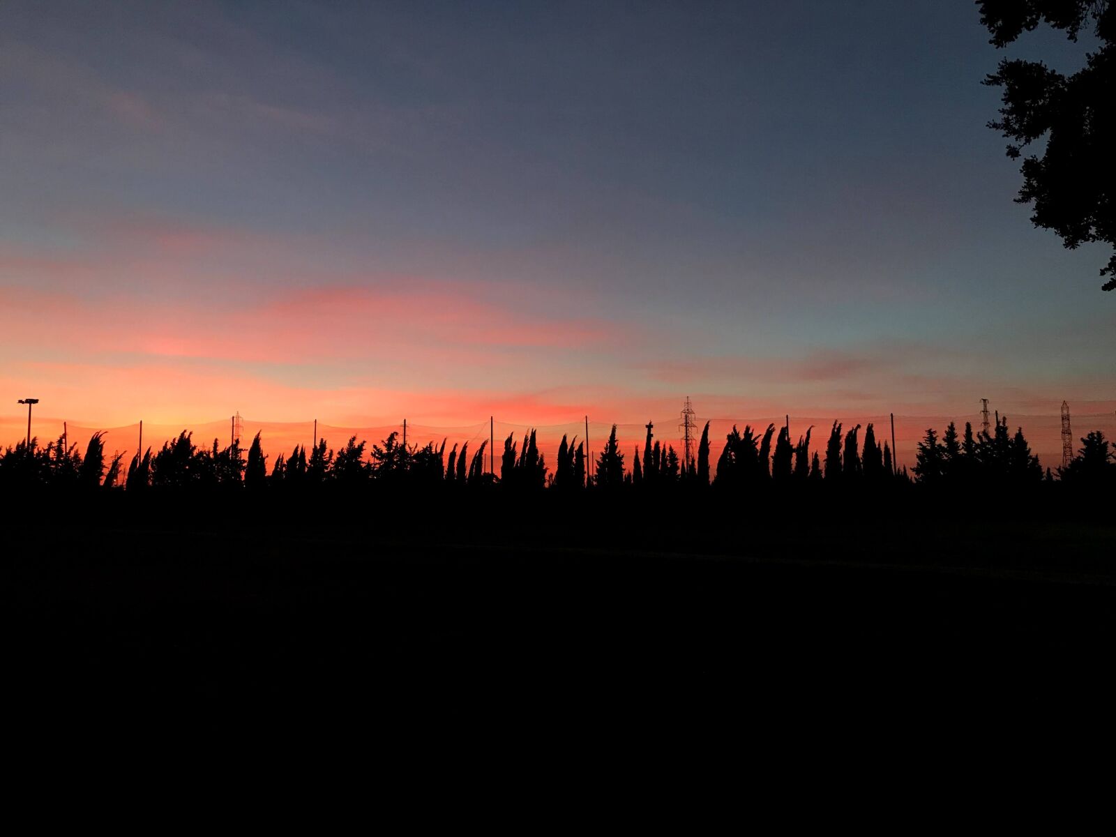 iPhone 7 back camera 3.99mm f/1.8 sample photo. Atardecer, sevilla, parque del photography
