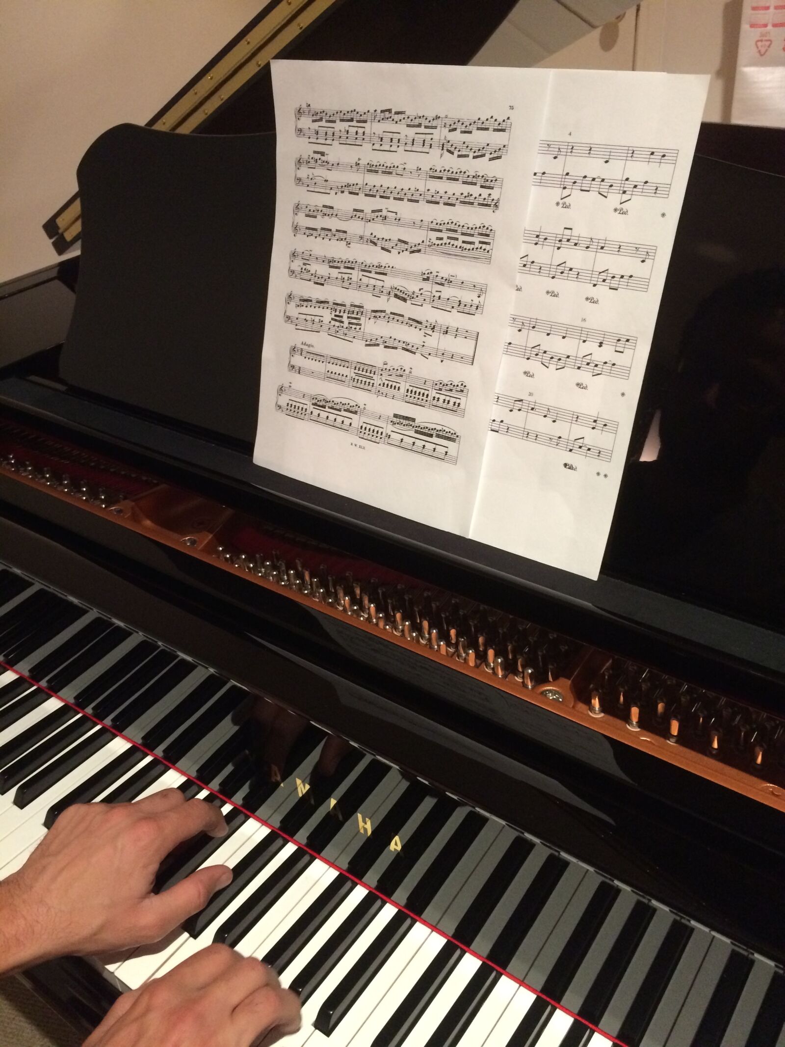 iPhone 5s back camera 4.15mm f/2.2 sample photo. Piano, grand piano, clavier photography