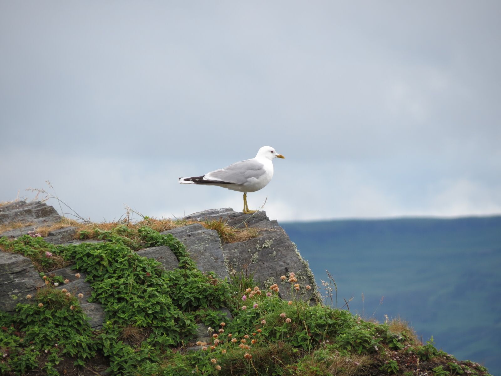Canon PowerShot SX40 HS sample photo. Easdale, scotland, vacations photography