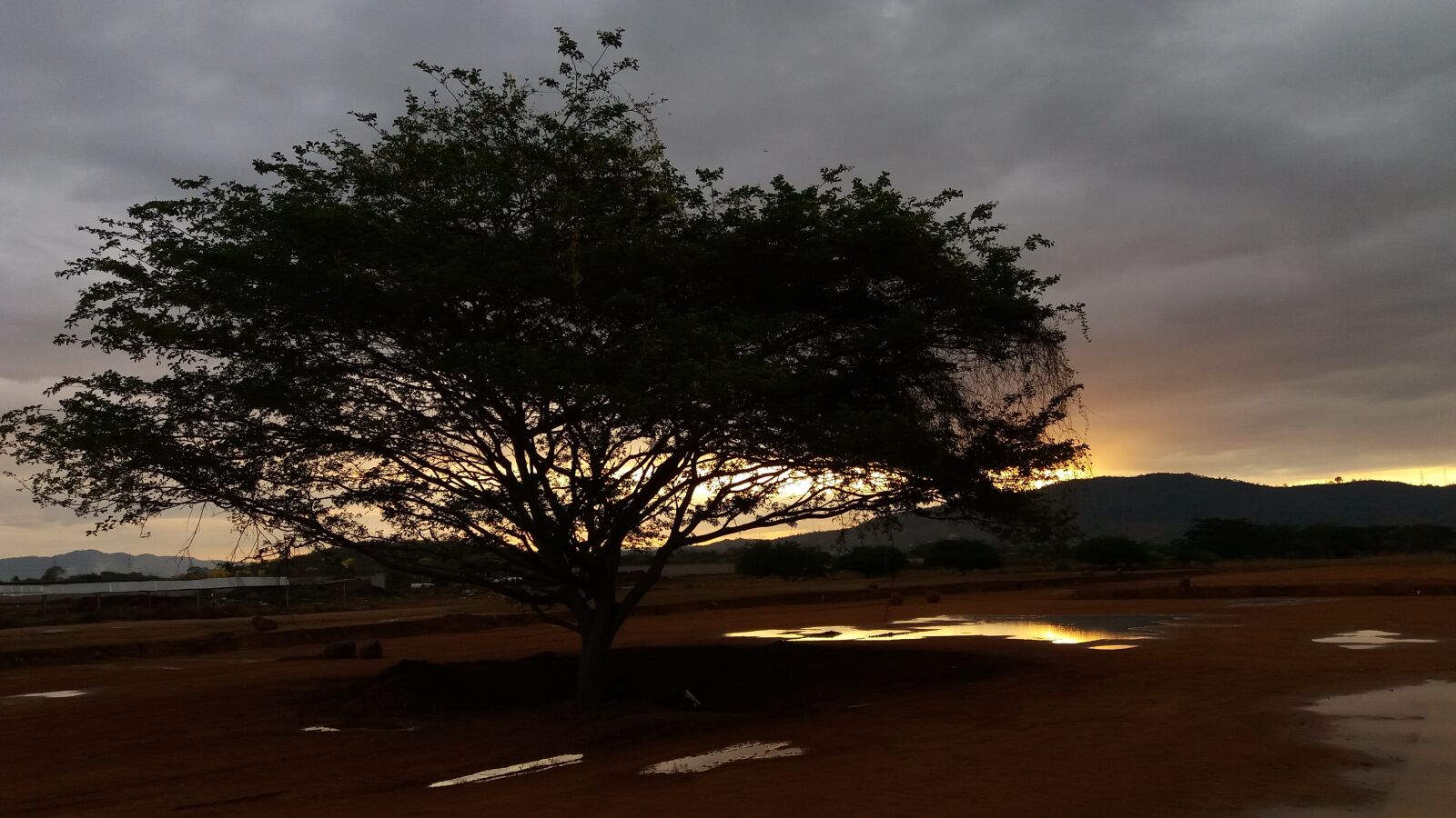 Samsung Galaxy J5 sample photo. Sunset, tree, horizon photography