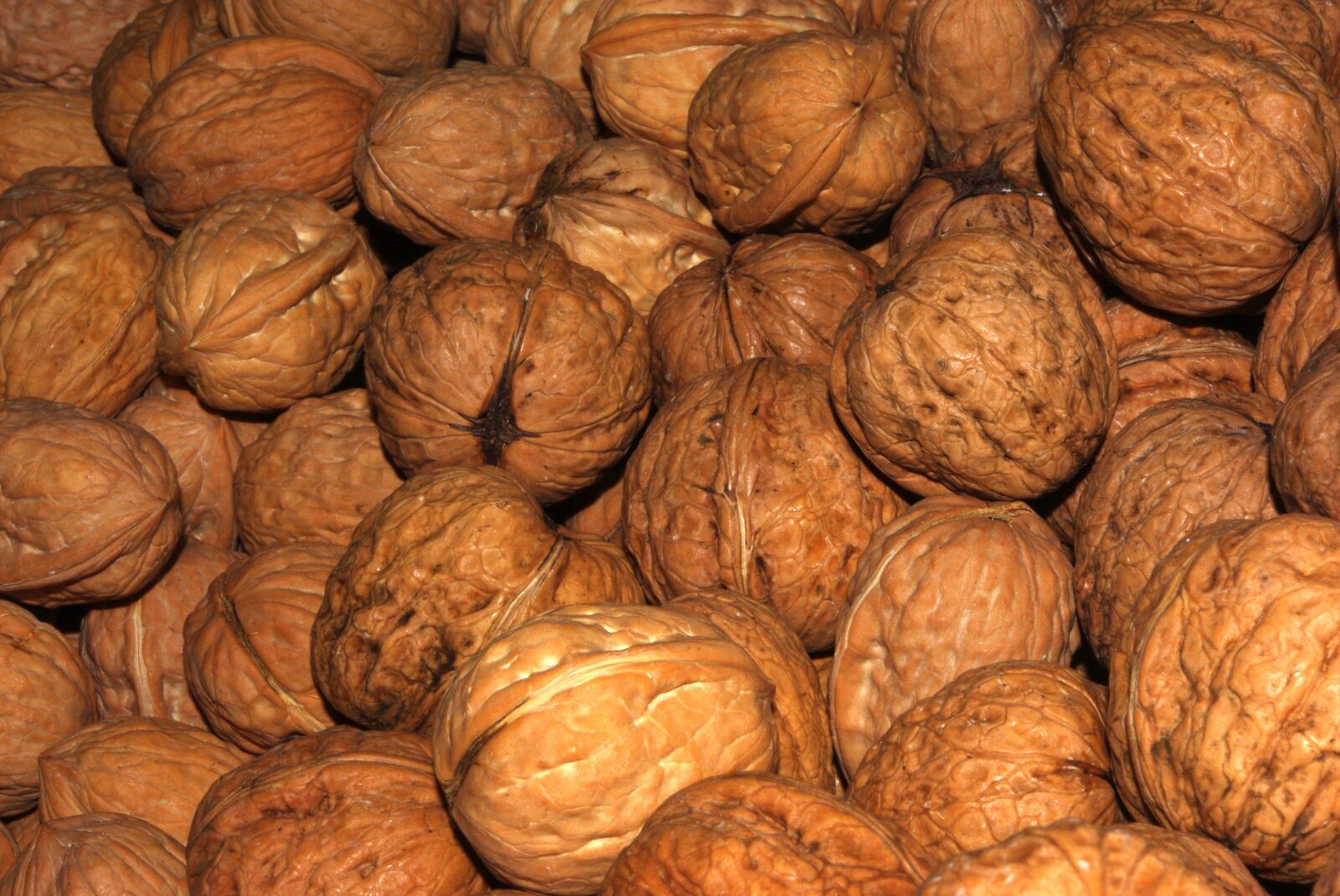 Pentax K-m (K2000) sample photo. Walnuts, nuts, food photography
