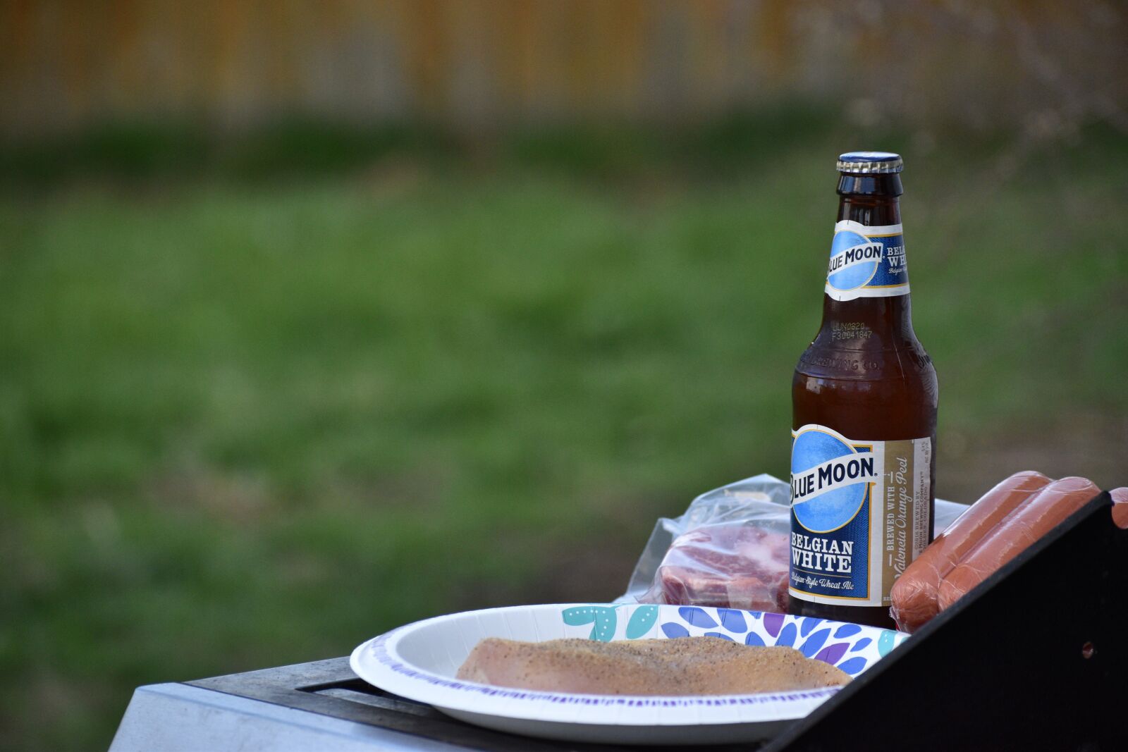 Nikon D3500 sample photo. Grilling, beer, meat photography