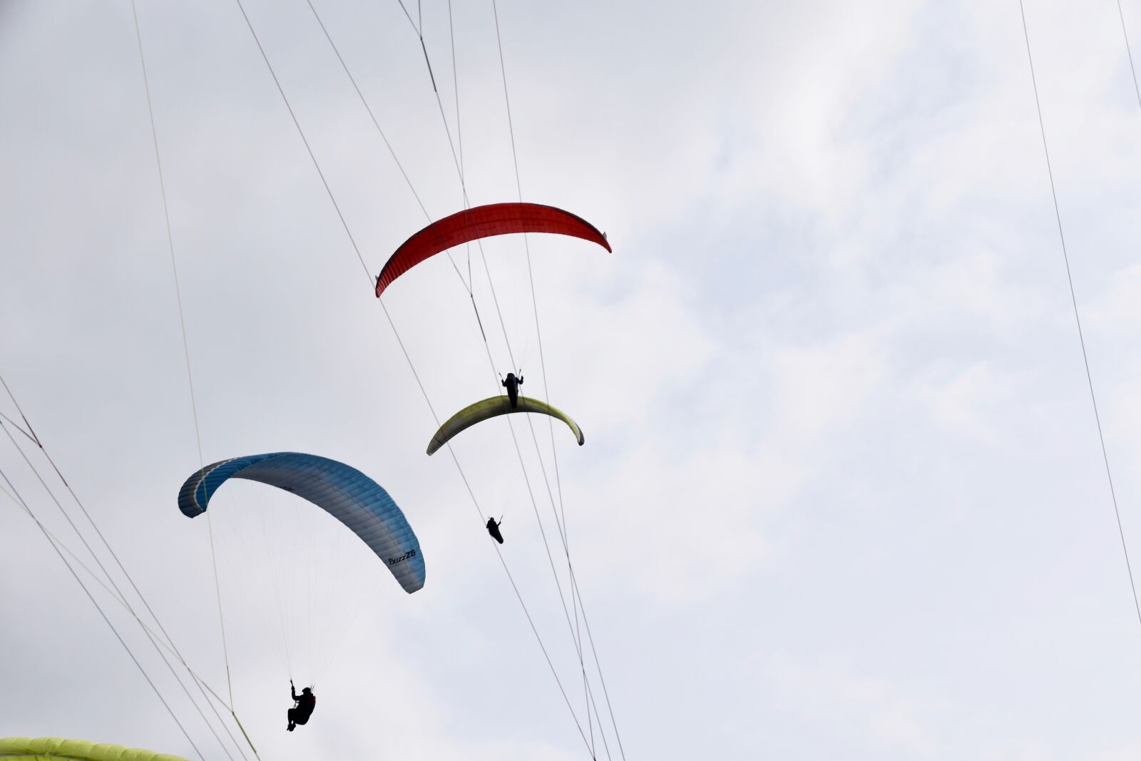 Nikon D5600 sample photo. Paragliders, sails, fly photography