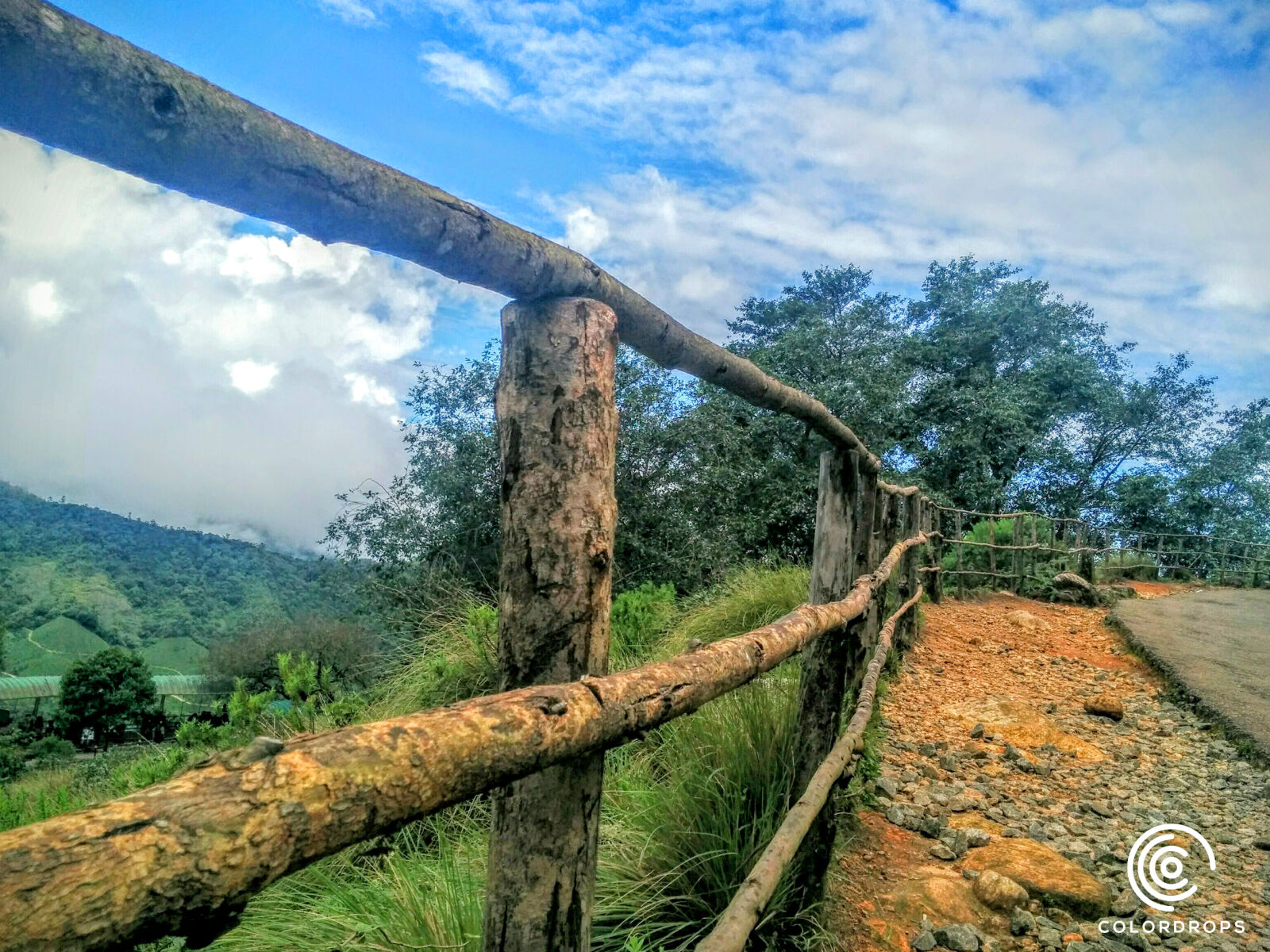 LG Nexus 5 sample photo. India, kerala, munnar, niyasconnect photography