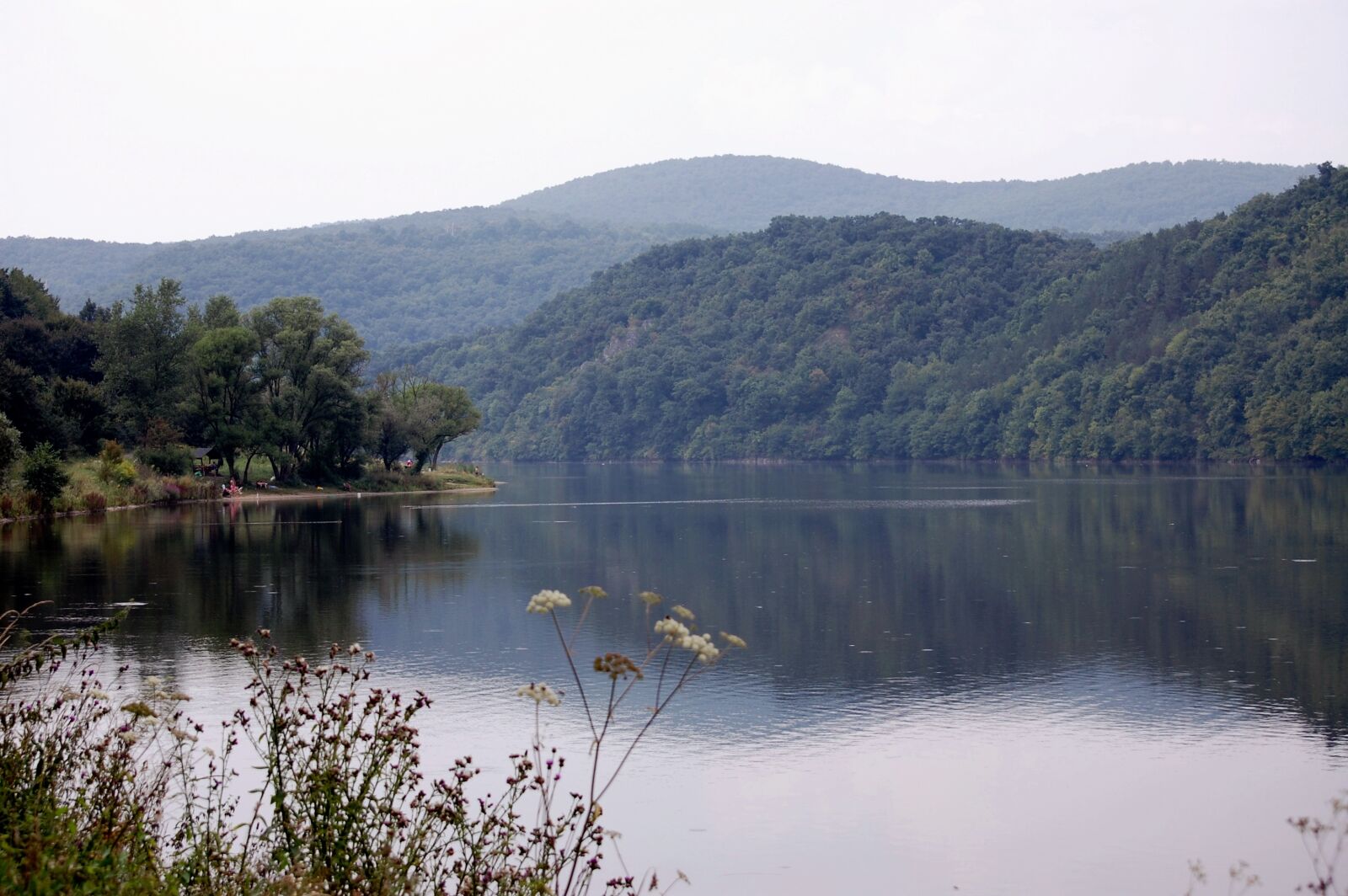 Nikon D40 sample photo. Hungary, beech, lakes photography