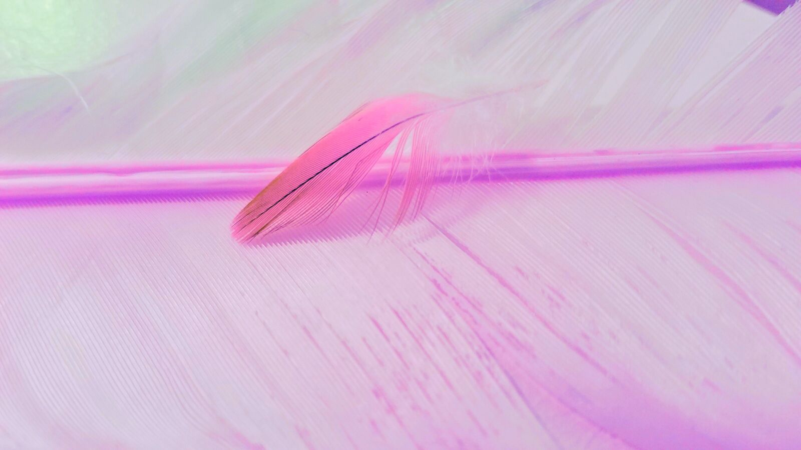 Samsung Galaxy S7 sample photo. Desktop, abstract, color photography
