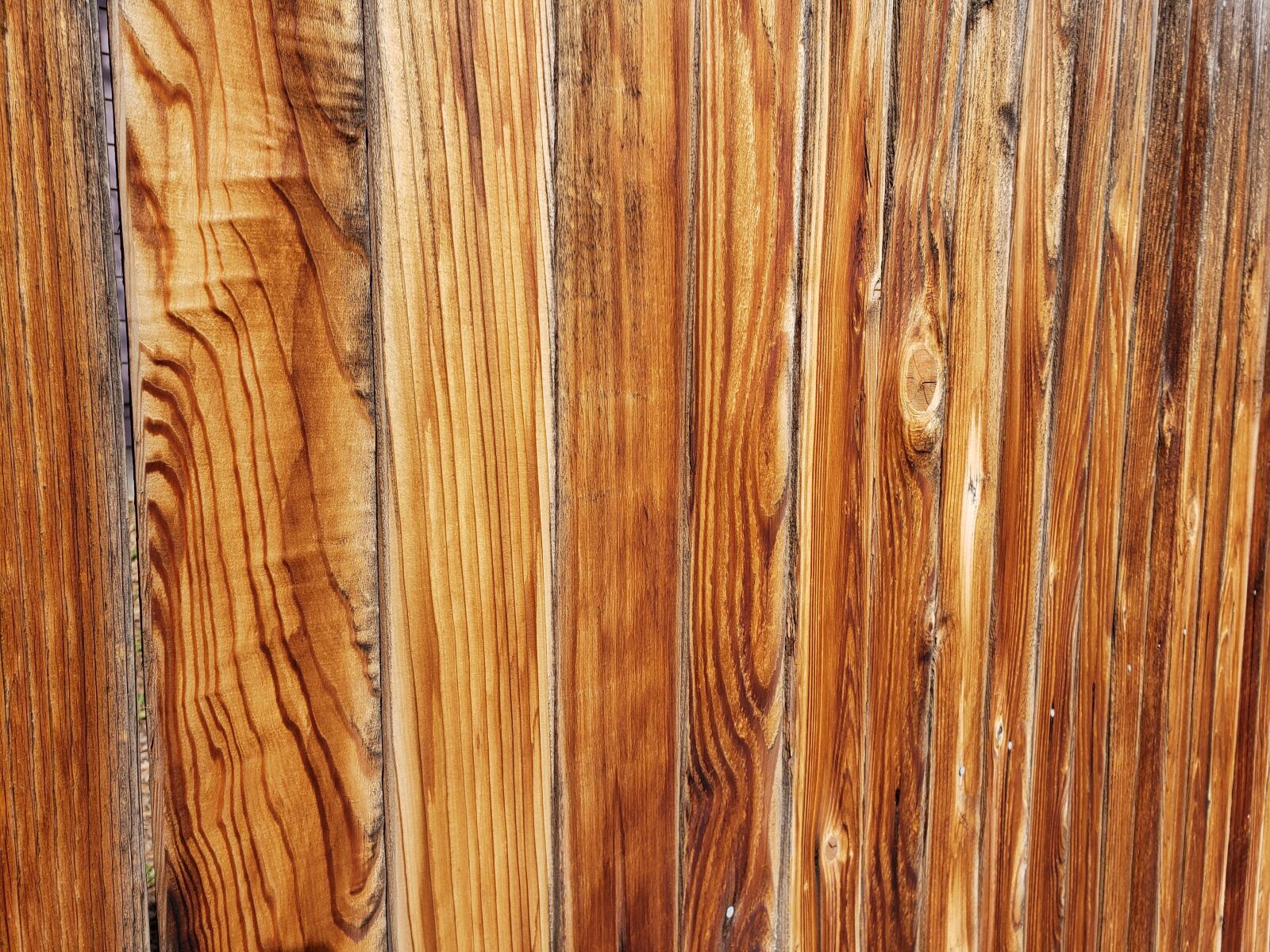 Samsung Galaxy Note9 sample photo. Cedar, fence, wood photography