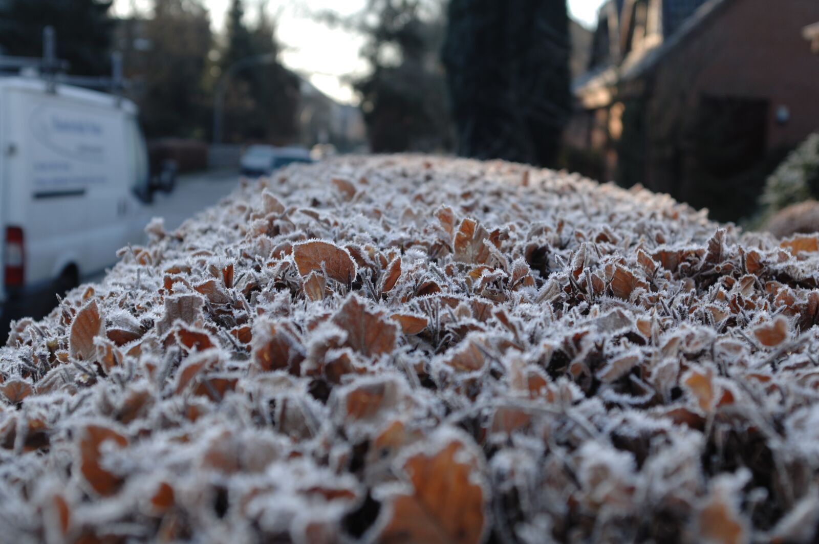 Nikon D2X sample photo. Hamburg, frost, winter photography