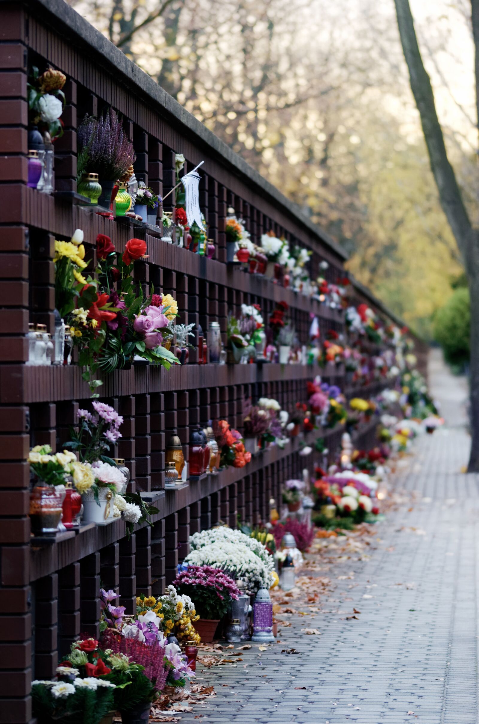 Nikon D5100 sample photo. Wall, sites, the polls photography