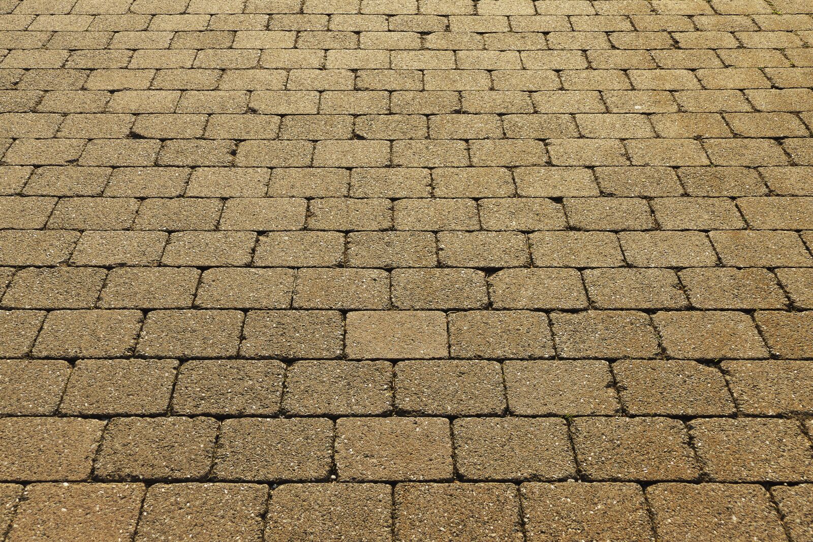 Panasonic Lumix DMC-FZ1000 sample photo. Patch, flooring, paving stones photography