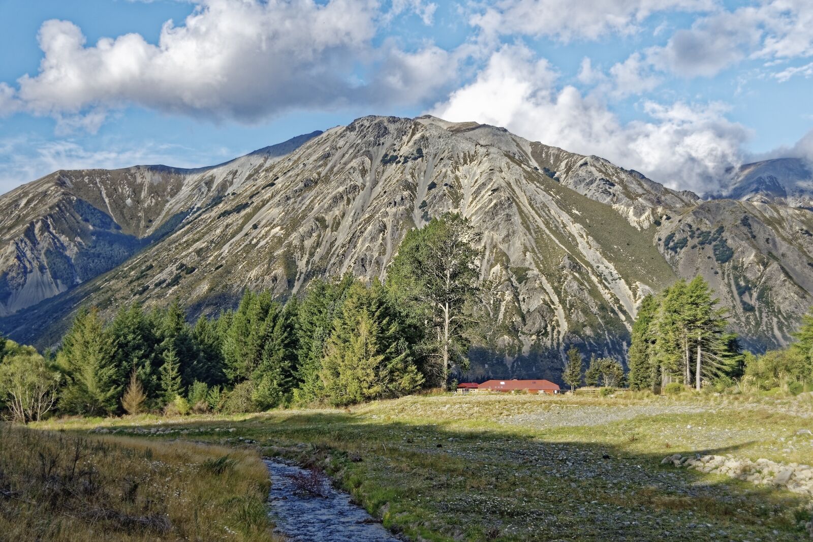 Nikon D500 sample photo. New zealand, craigieburn forest photography
