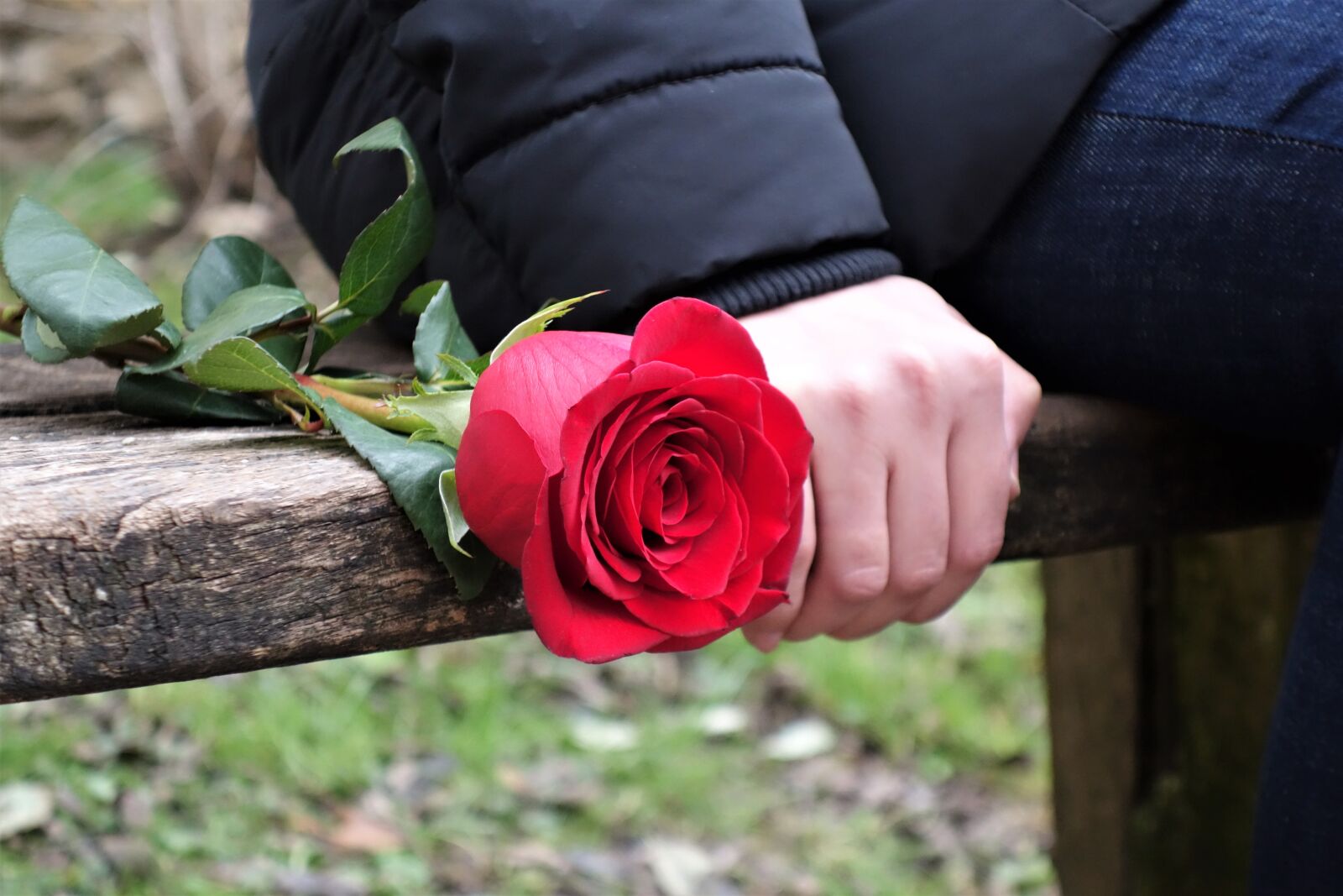 Sony Cyber-shot DSC-RX100 II sample photo. Girl with red rose photography
