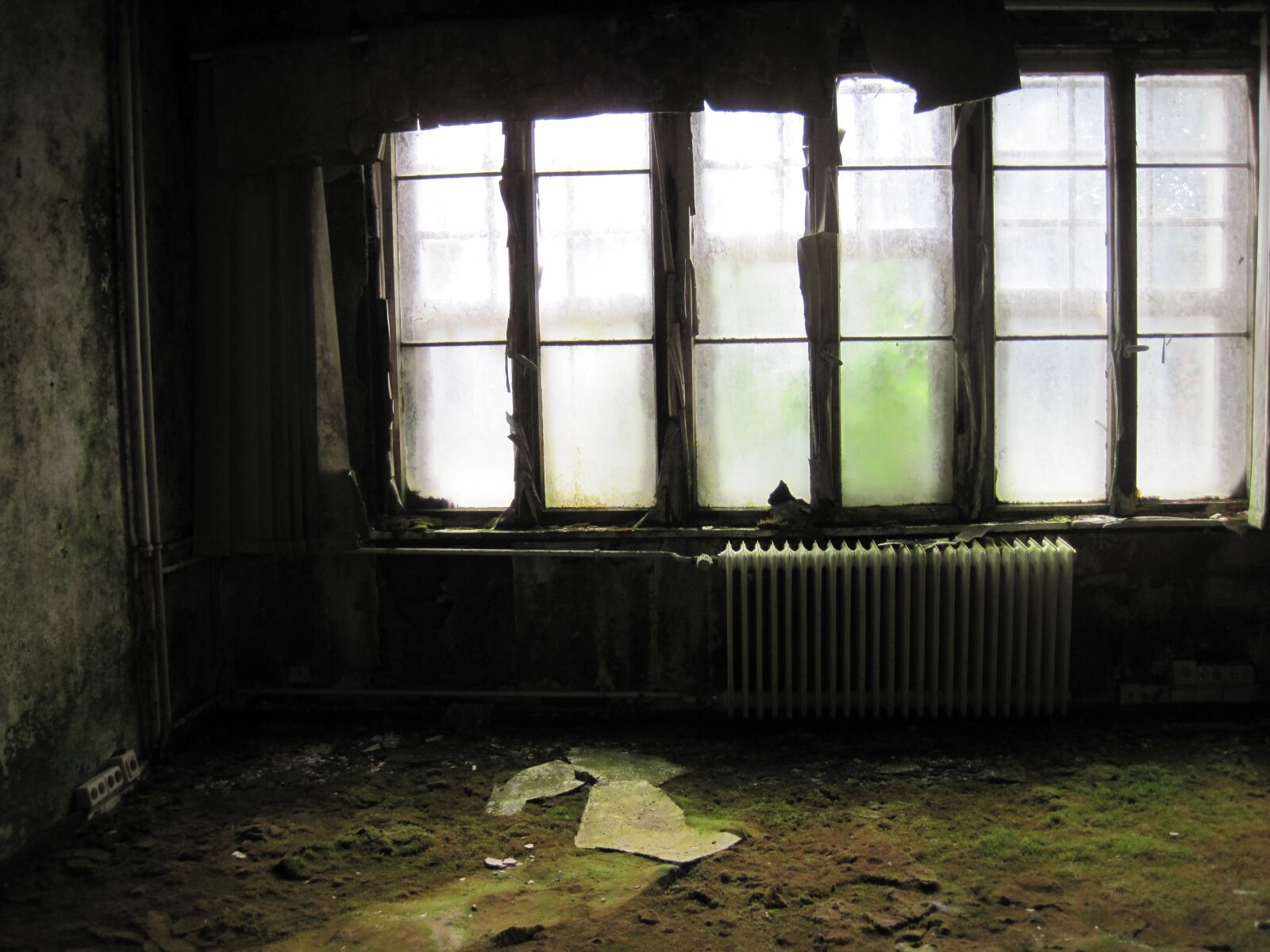 Canon PowerShot D10 sample photo. Room, window, heating photography