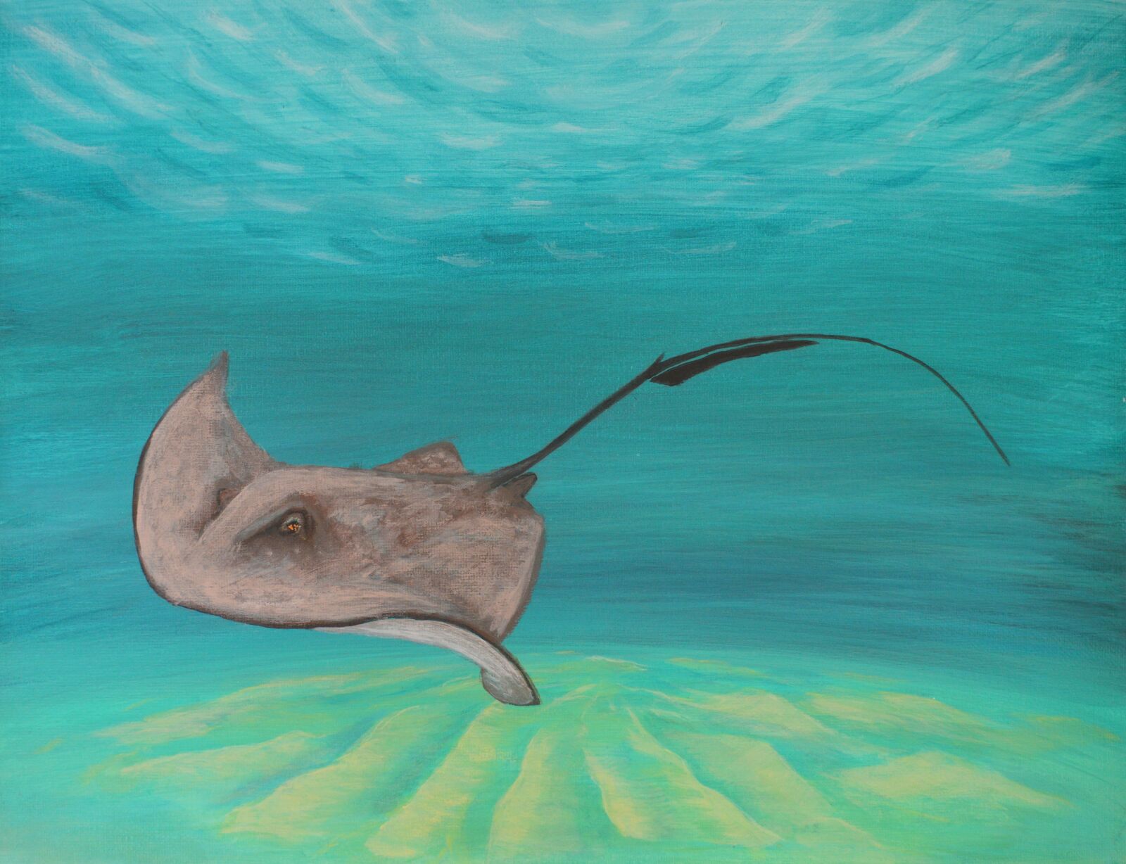 Nikon D3200 sample photo. Ocean, sea, sting photography