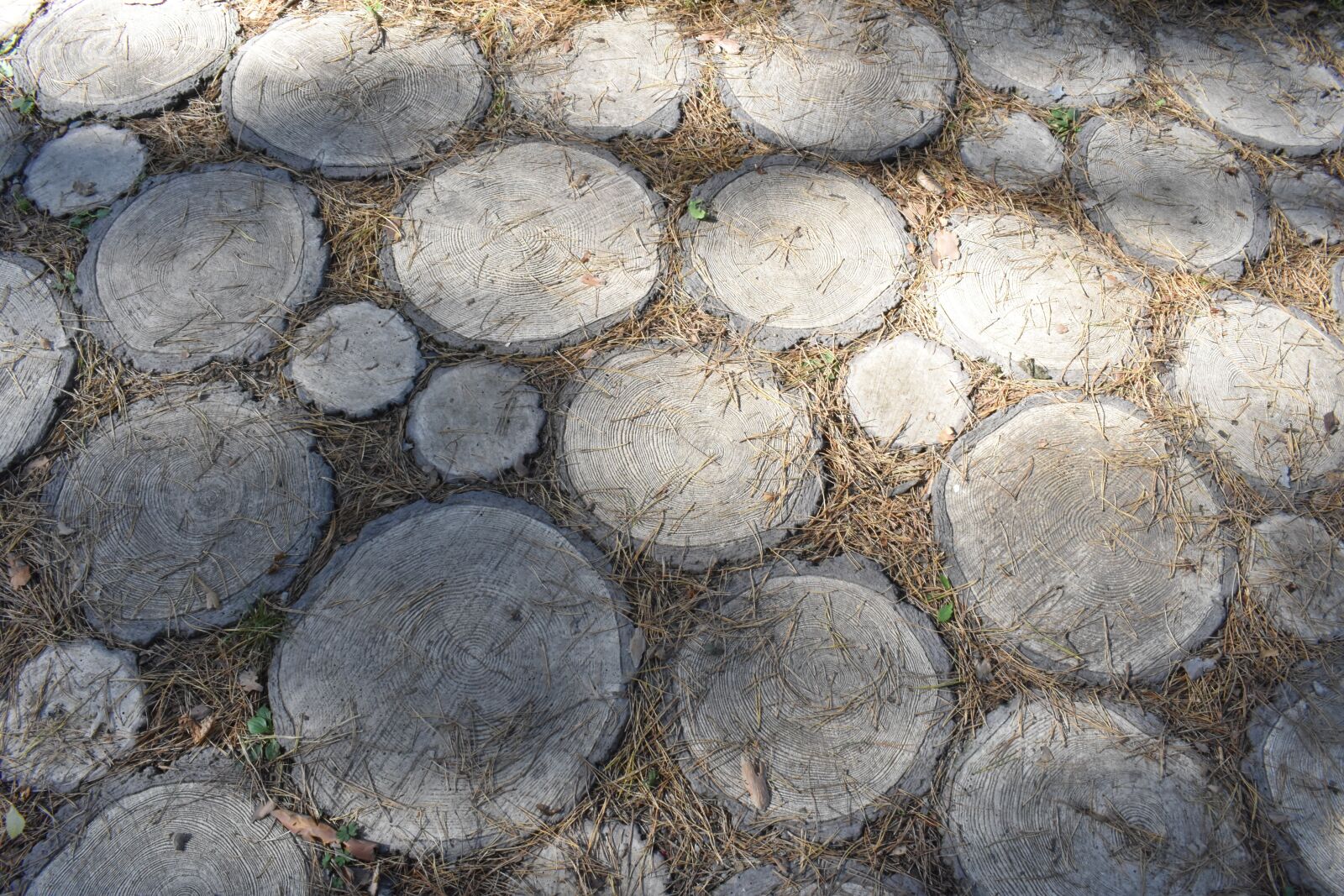 Nikon D3400 sample photo. Track, paved, surface photography