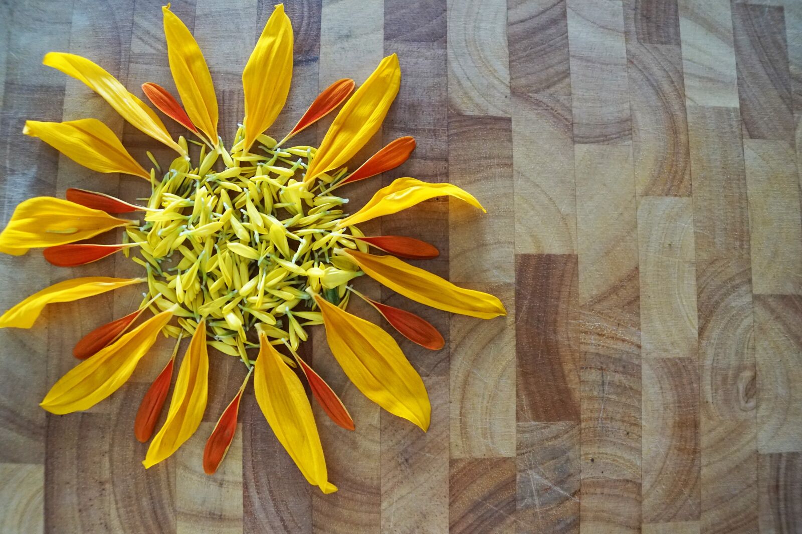 Sony ILCA-77M2 + Sony DT 16-50mm F2.8 SSM sample photo. Flower, sunflower, sun photography