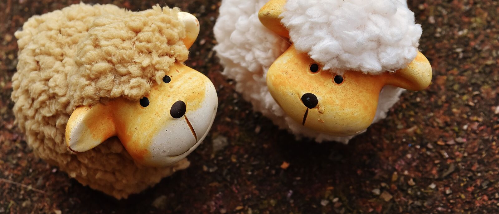 Nikon D7200 sample photo. Sheep, animals, deco photography