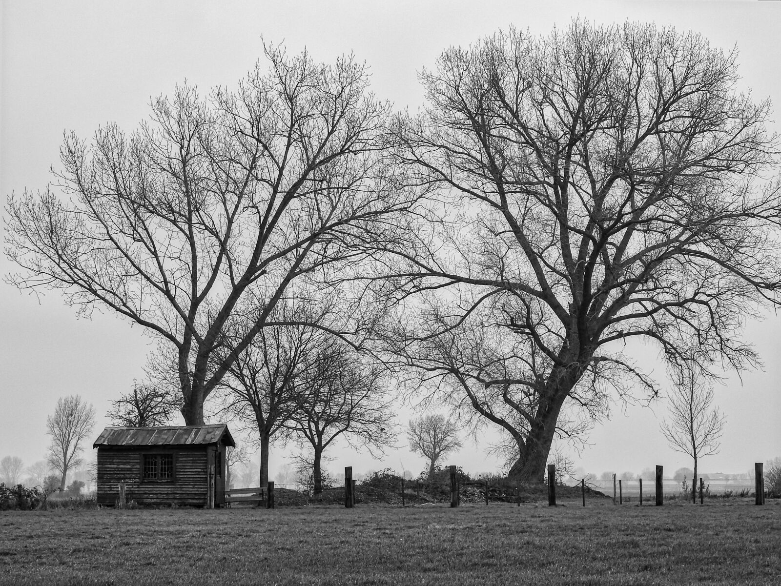 Nikon Coolpix P900 sample photo. Landscape, winter, hut photography