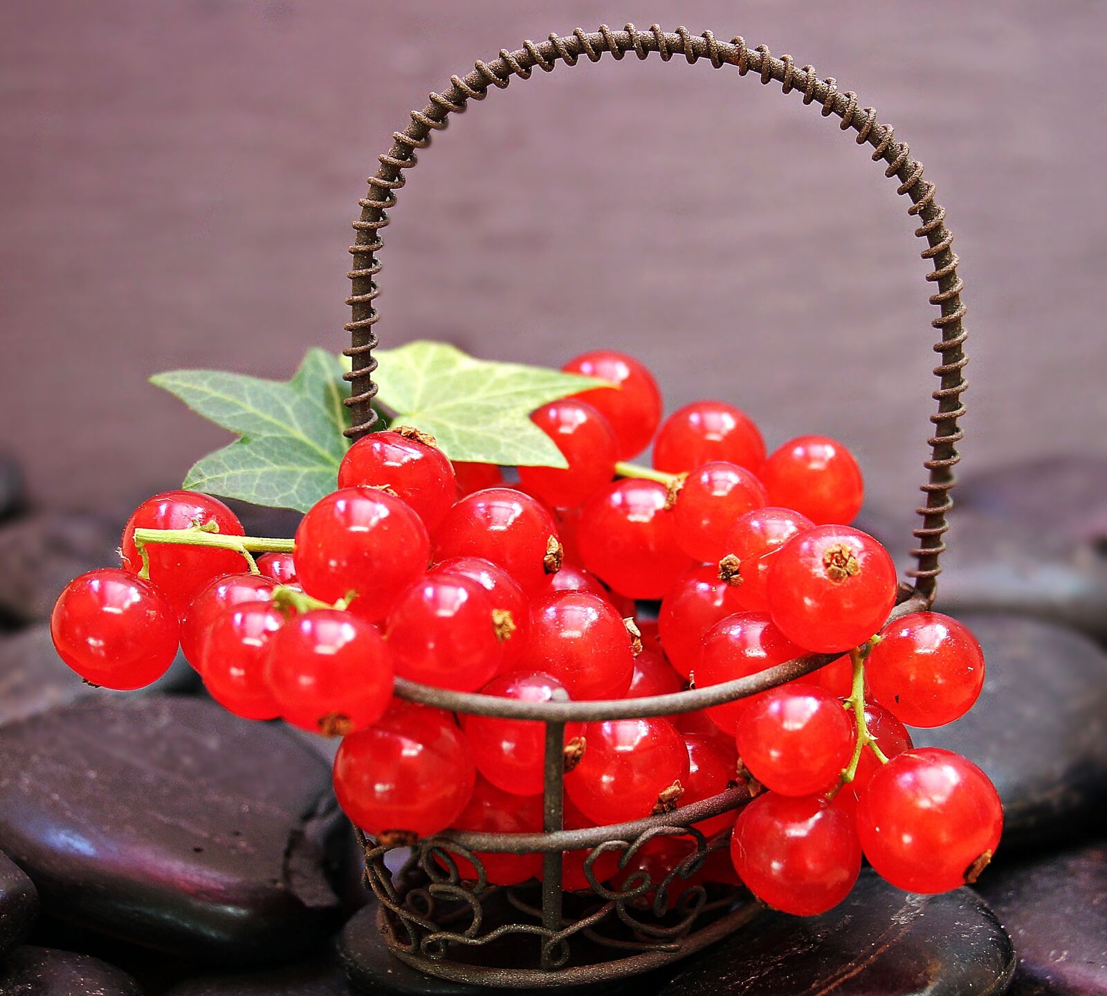 Canon EOS 550D (EOS Rebel T2i / EOS Kiss X4) sample photo. Currants, fruit, red currant photography