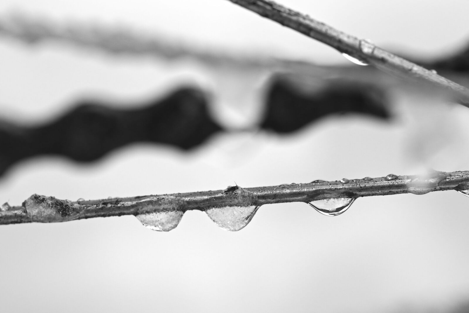 Canon EOS 7D Mark II sample photo. Drop, ice, water photography