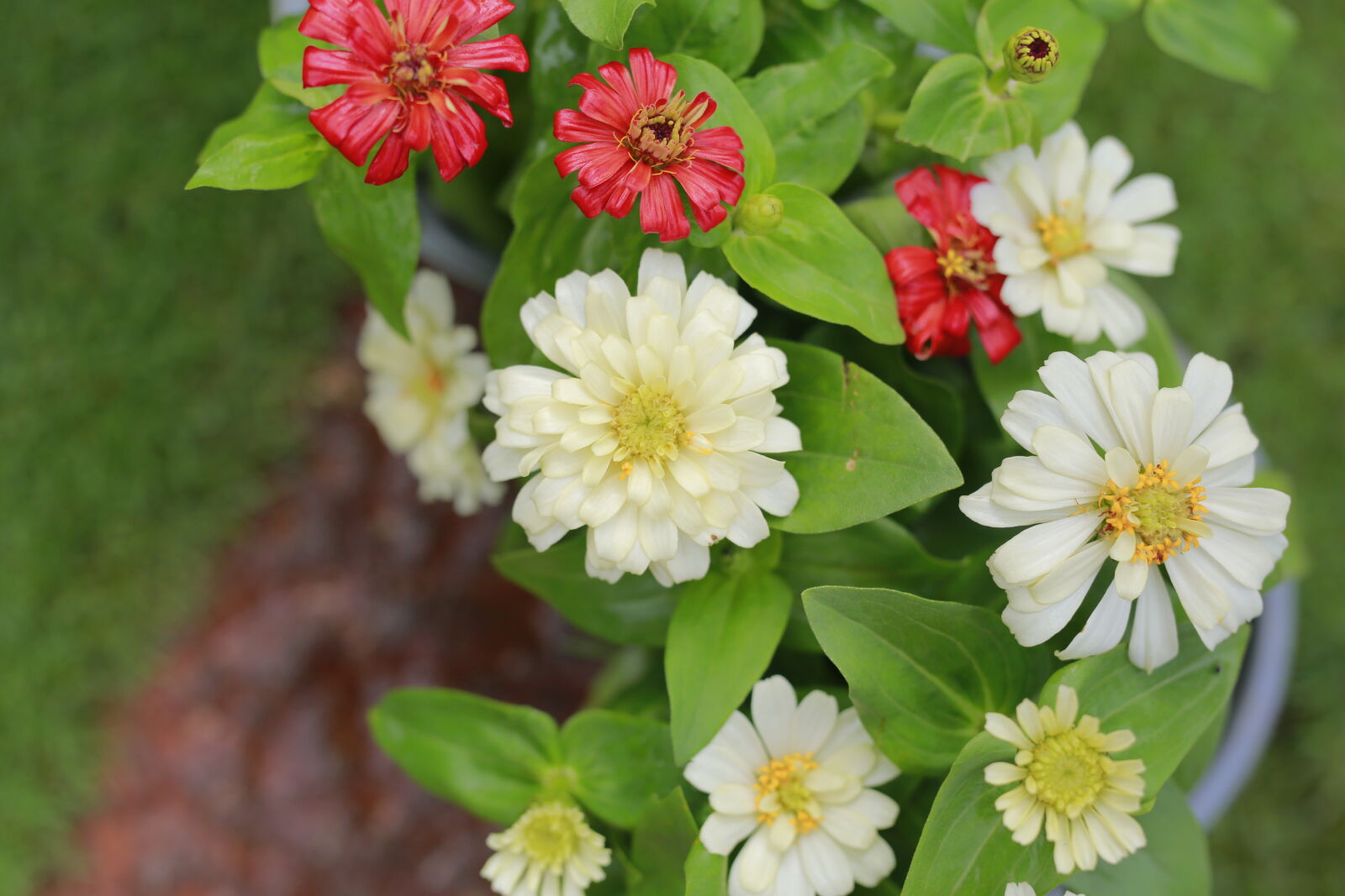 Canon EOS 6D sample photo