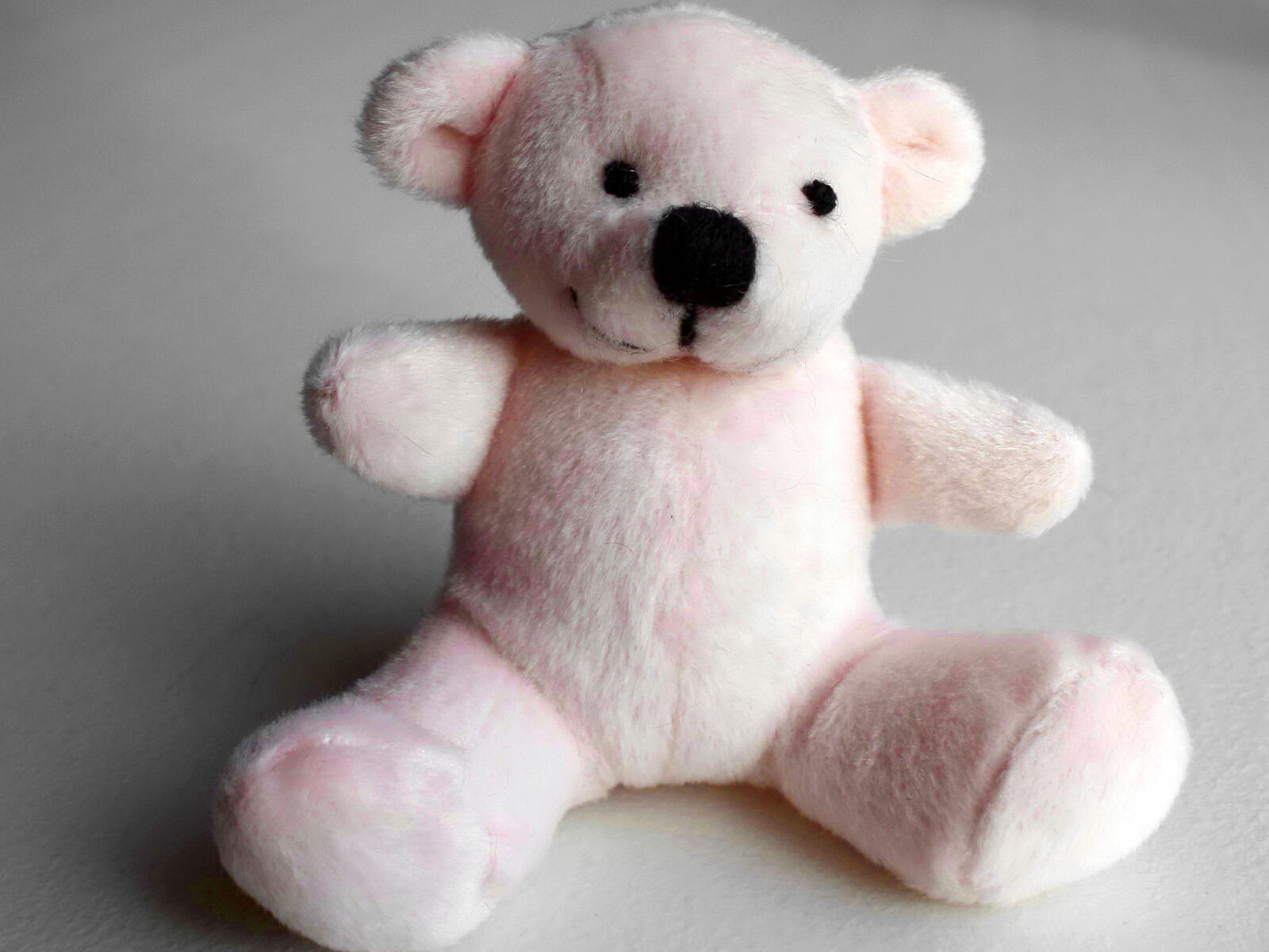 Canon EOS 1000D (EOS Digital Rebel XS / EOS Kiss F) sample photo. White teddy bear, toy photography