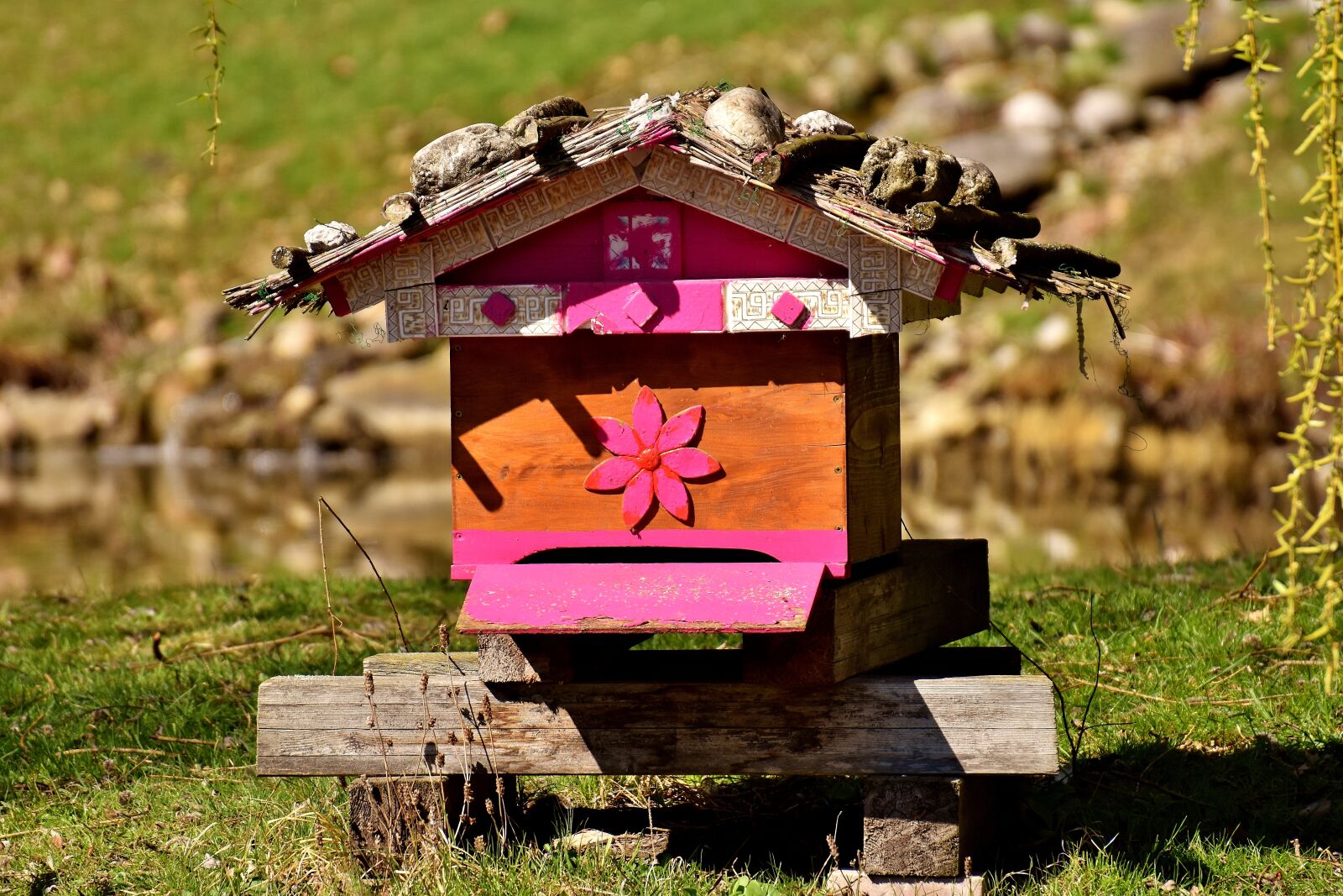 Nikon D7200 sample photo. Beehive, bees, wood photography