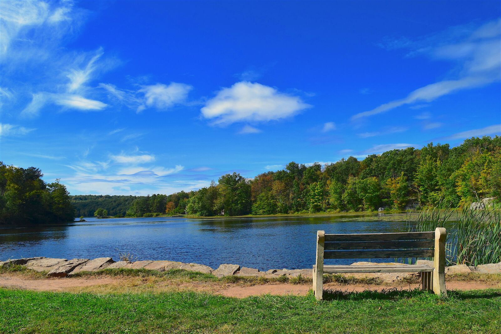 Nikon D3300 sample photo. Bench, park, lake photography