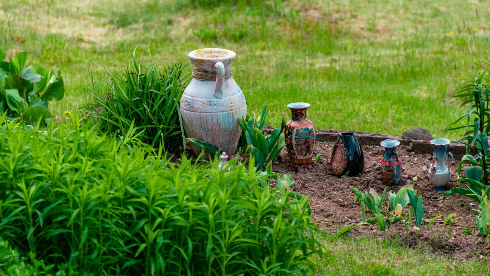 Nikon D5600 sample photo. Jugs, garden, summer photography