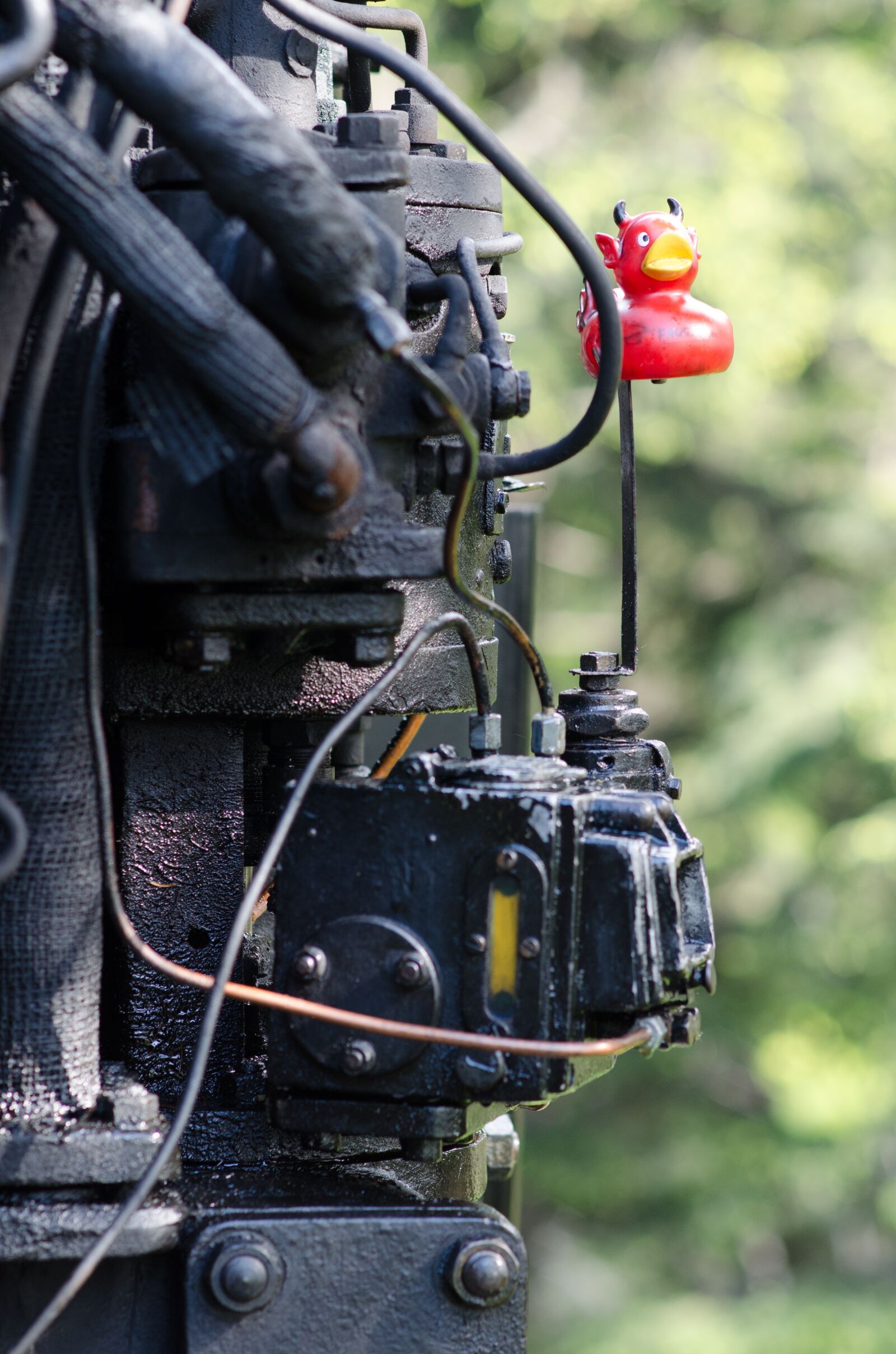 Nikon D5100 sample photo. Brocken railway, railway, steam photography