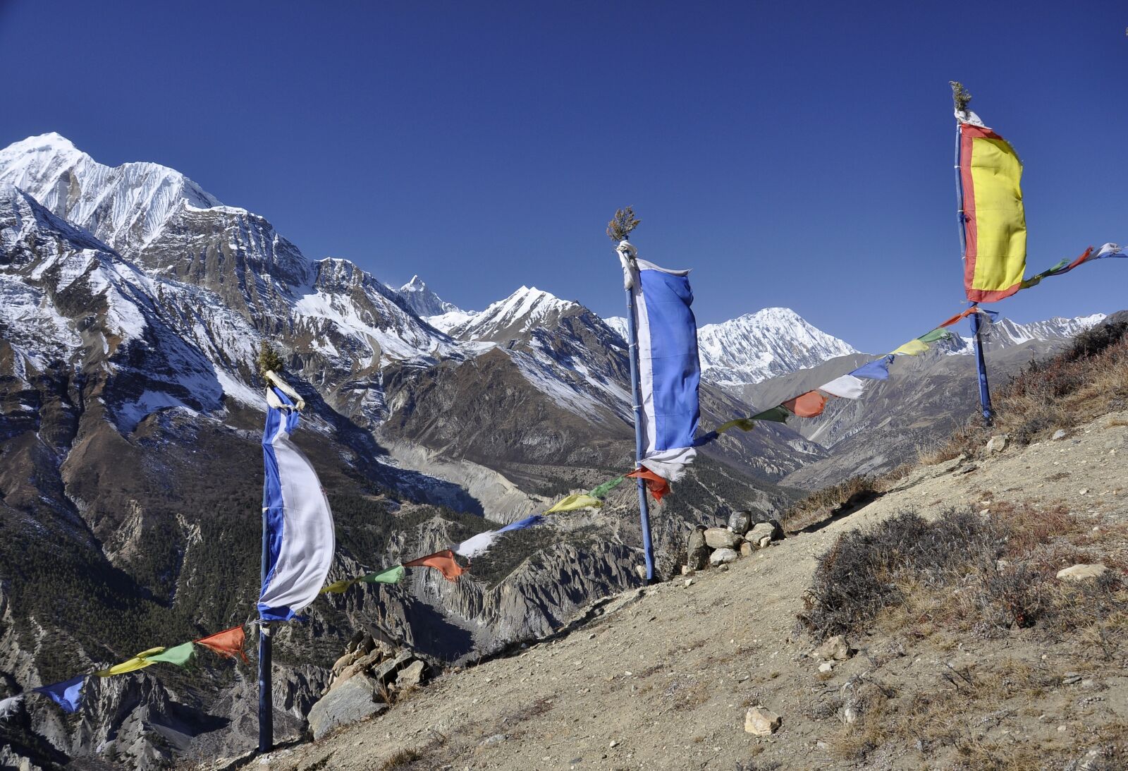 Nikon D5000 sample photo. Nepal, prayer flags, tre photography