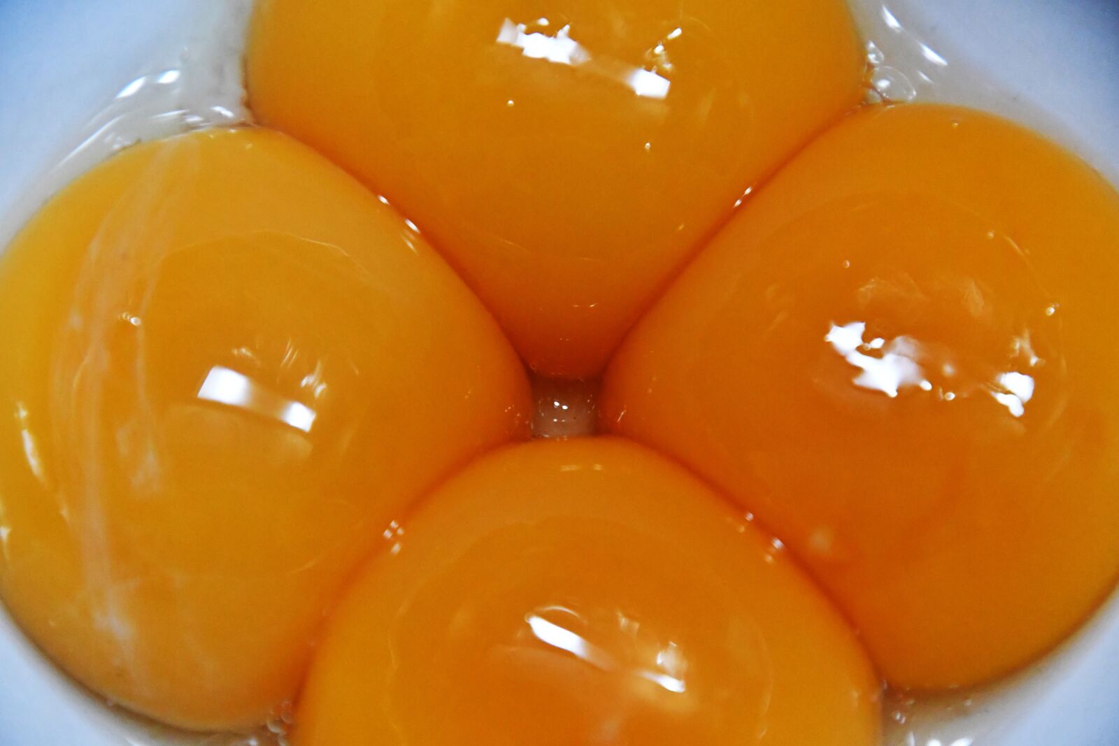 Nikon D7500 sample photo. Egg, egg yolks, chicken photography