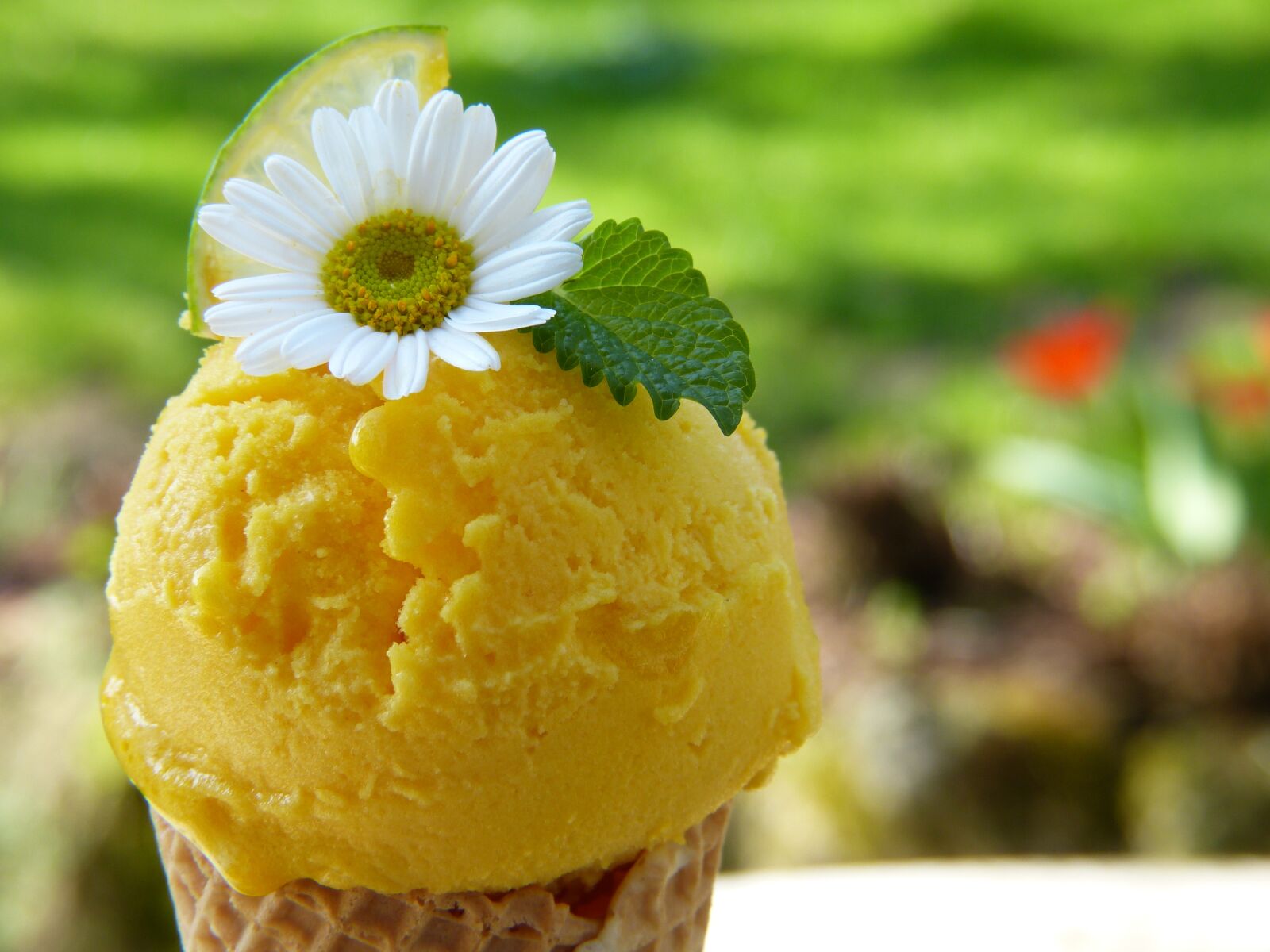 Panasonic Lumix DMC-FZ150 sample photo. Ice, ice cream, waffle photography