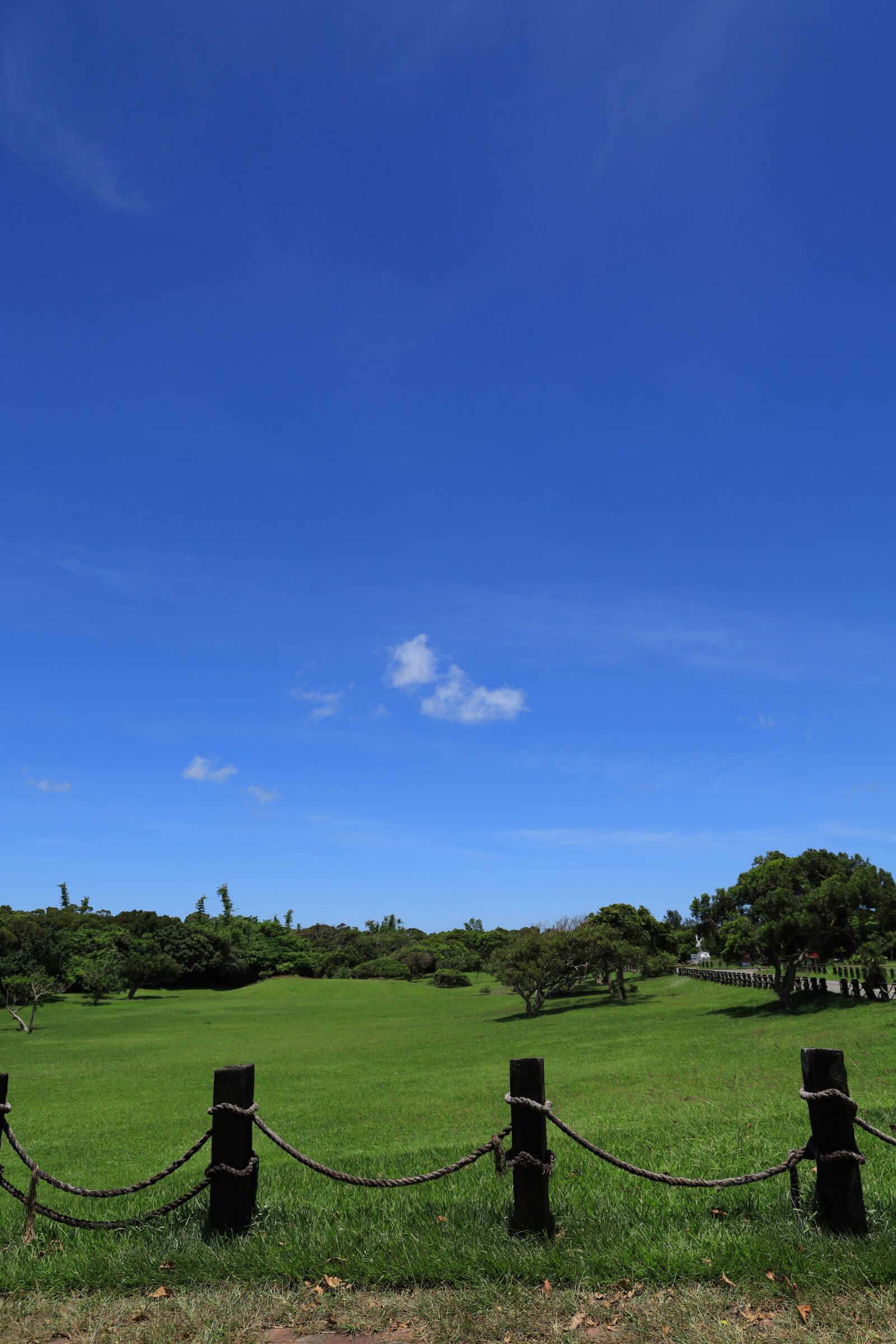 Canon EOS RP sample photo. Blue, sky, grass photography