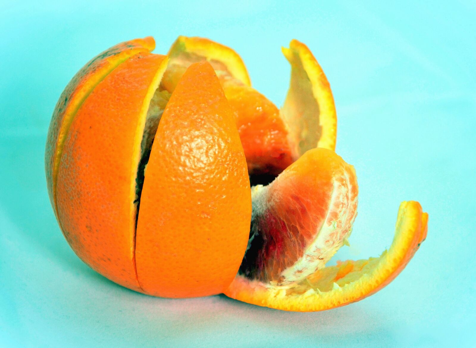 Nikon D5100 sample photo. Orange, peel, fruit photography