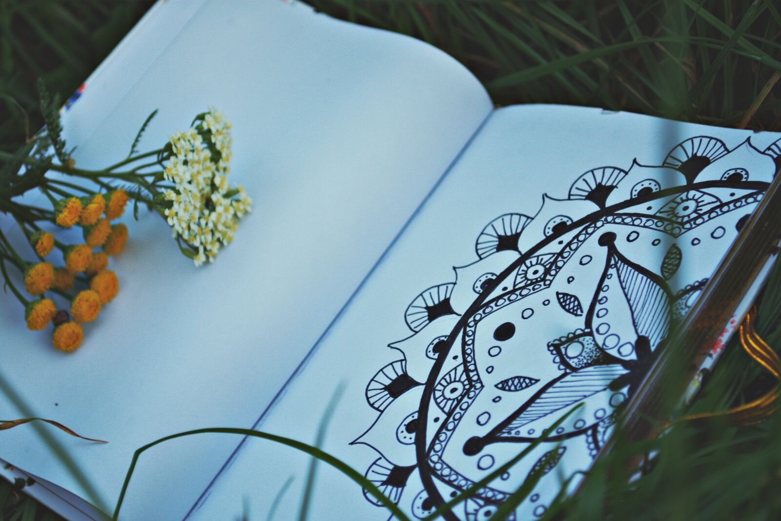 Nikon D3400 sample photo. Notebook, grass, mandala photography