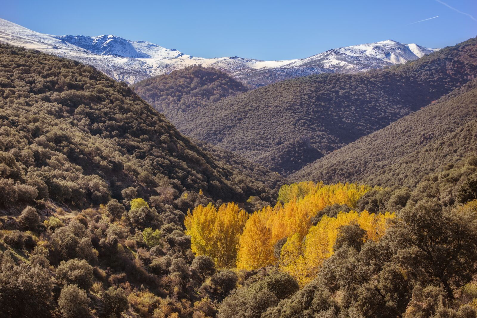 Nikon D3300 sample photo. Autumn, landscape, trees photography