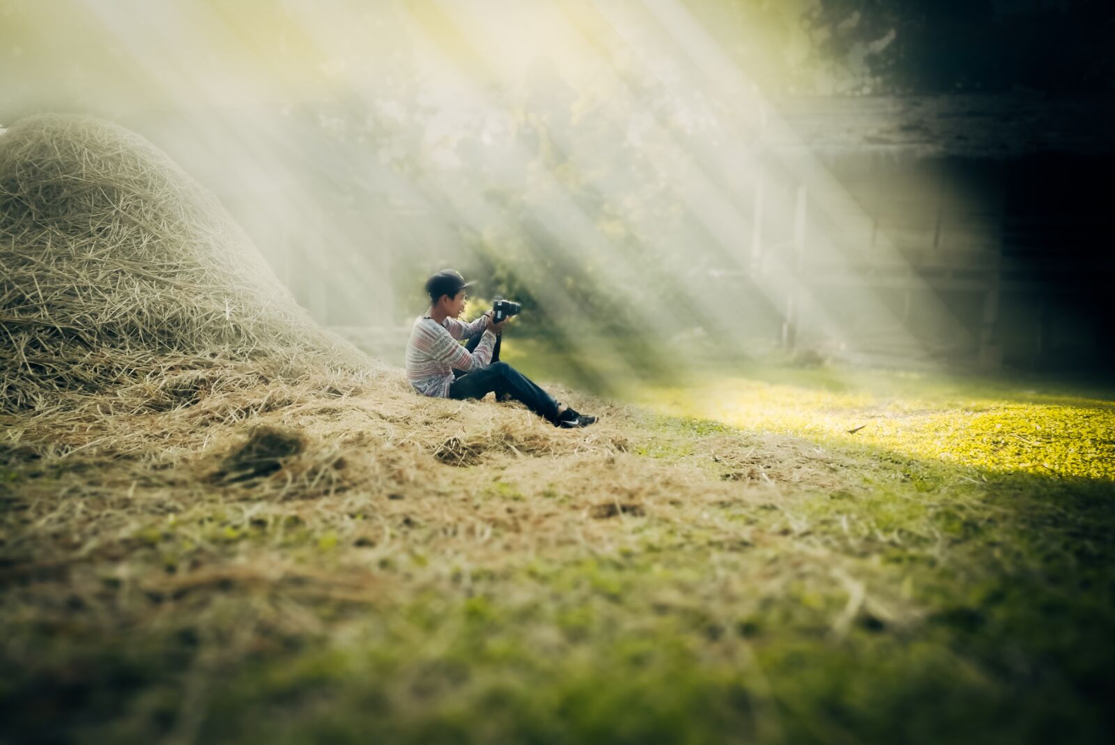 HUAWEI P9 sample photo. Farmer, laos, boy photography