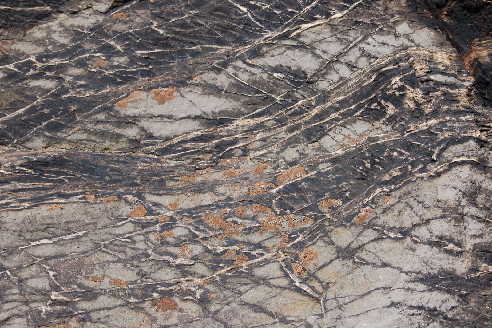 Canon EOS 70D sample photo. Background, pattern, texture photography