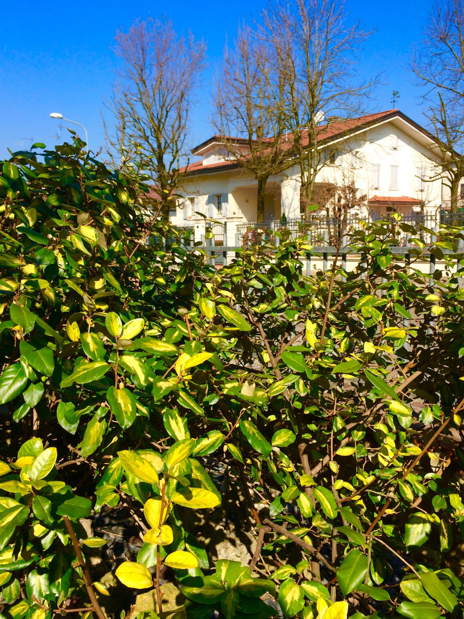 iPhone 5s back camera 4.15mm f/2.2 sample photo. Landscape, nature, springtime, sunny photography