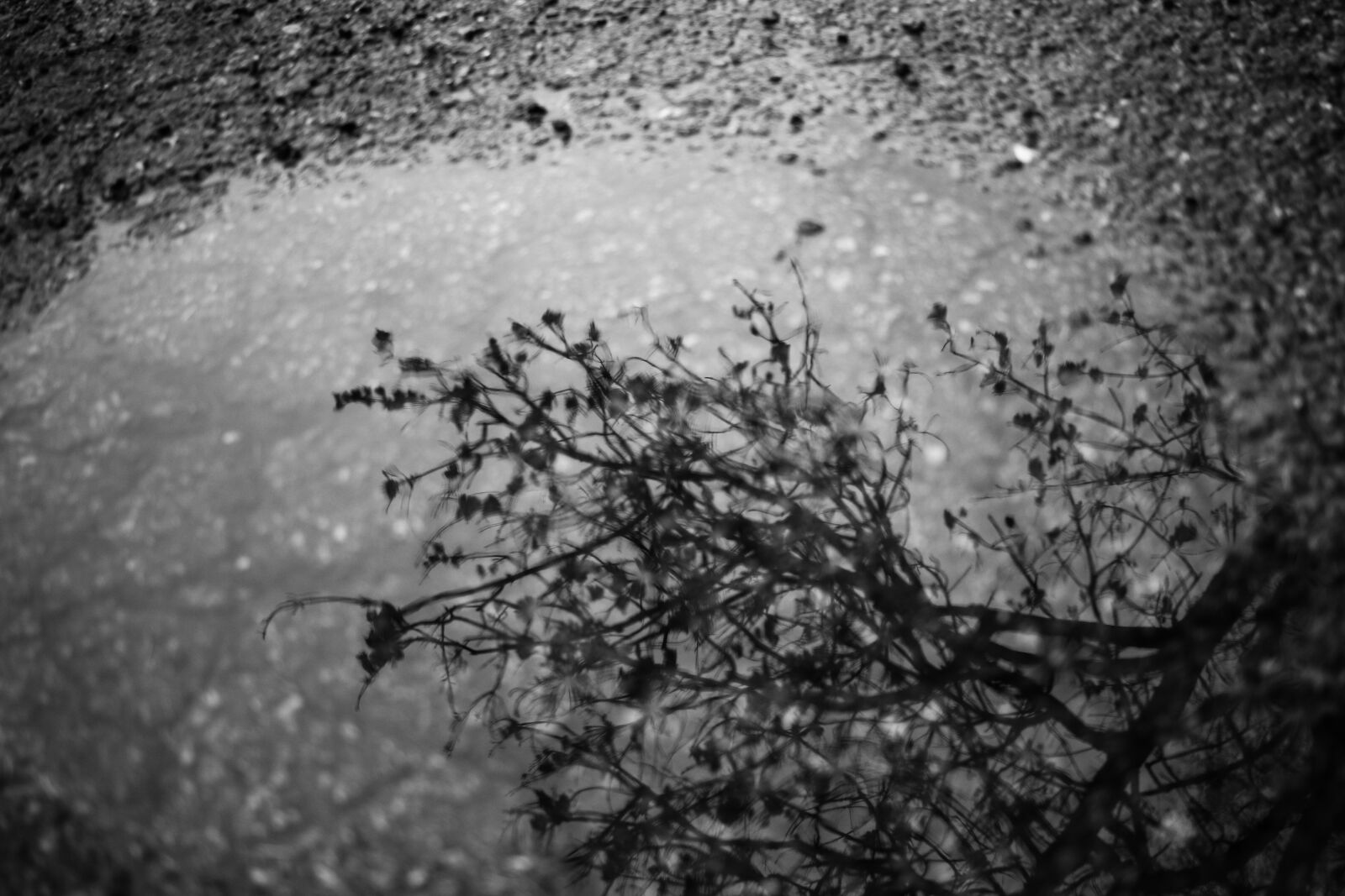 Canon EF-S 24mm F2.8 STM sample photo. Rain, water, reflection photography