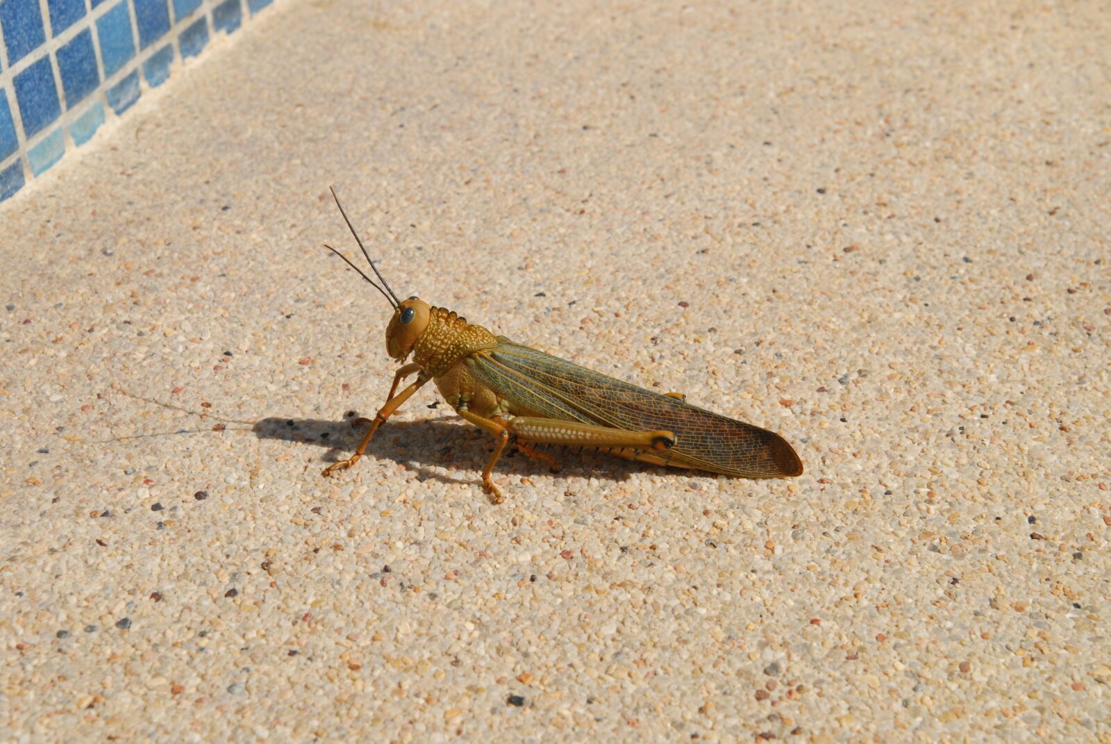 Nikon D200 sample photo. Mexico, vacations, cancun photography