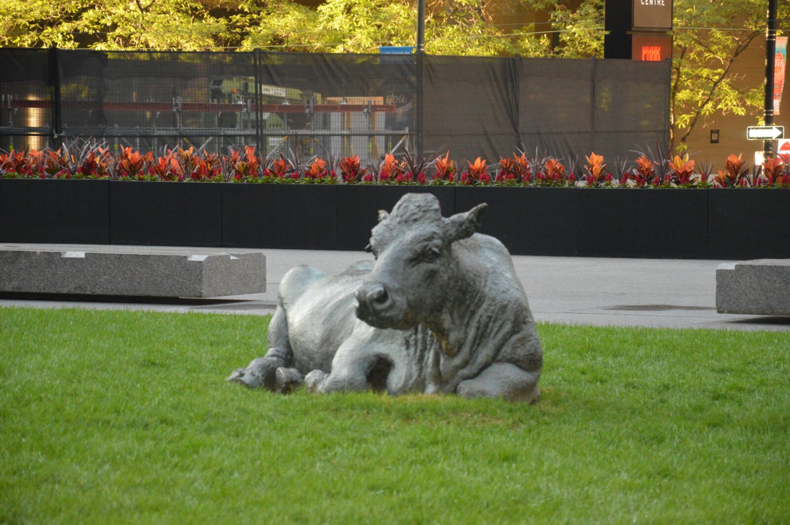 Nikon D3200 sample photo. Bull, office, building, strong photography