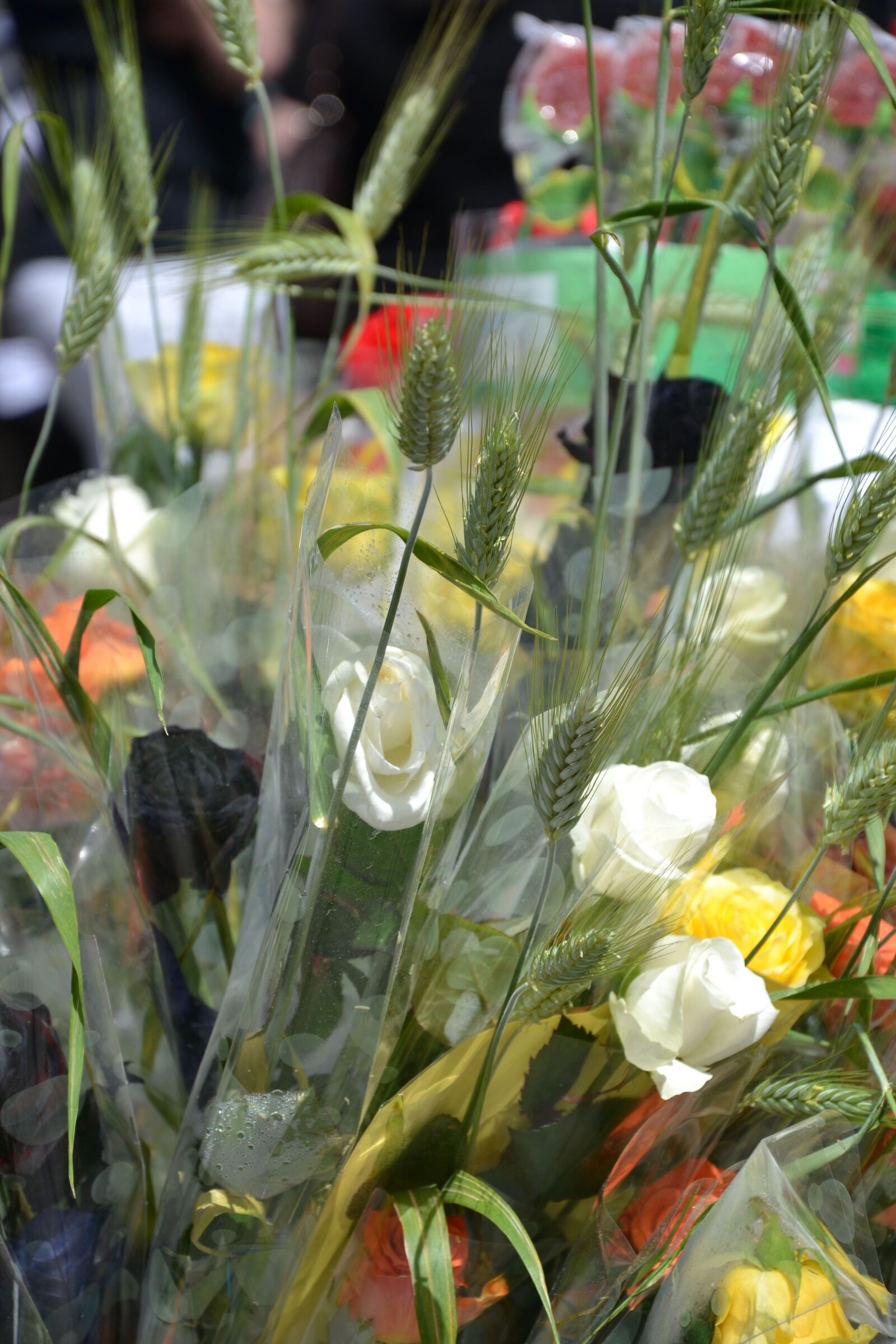 Nikon D3100 sample photo. Rosa, flower, bouquet photography
